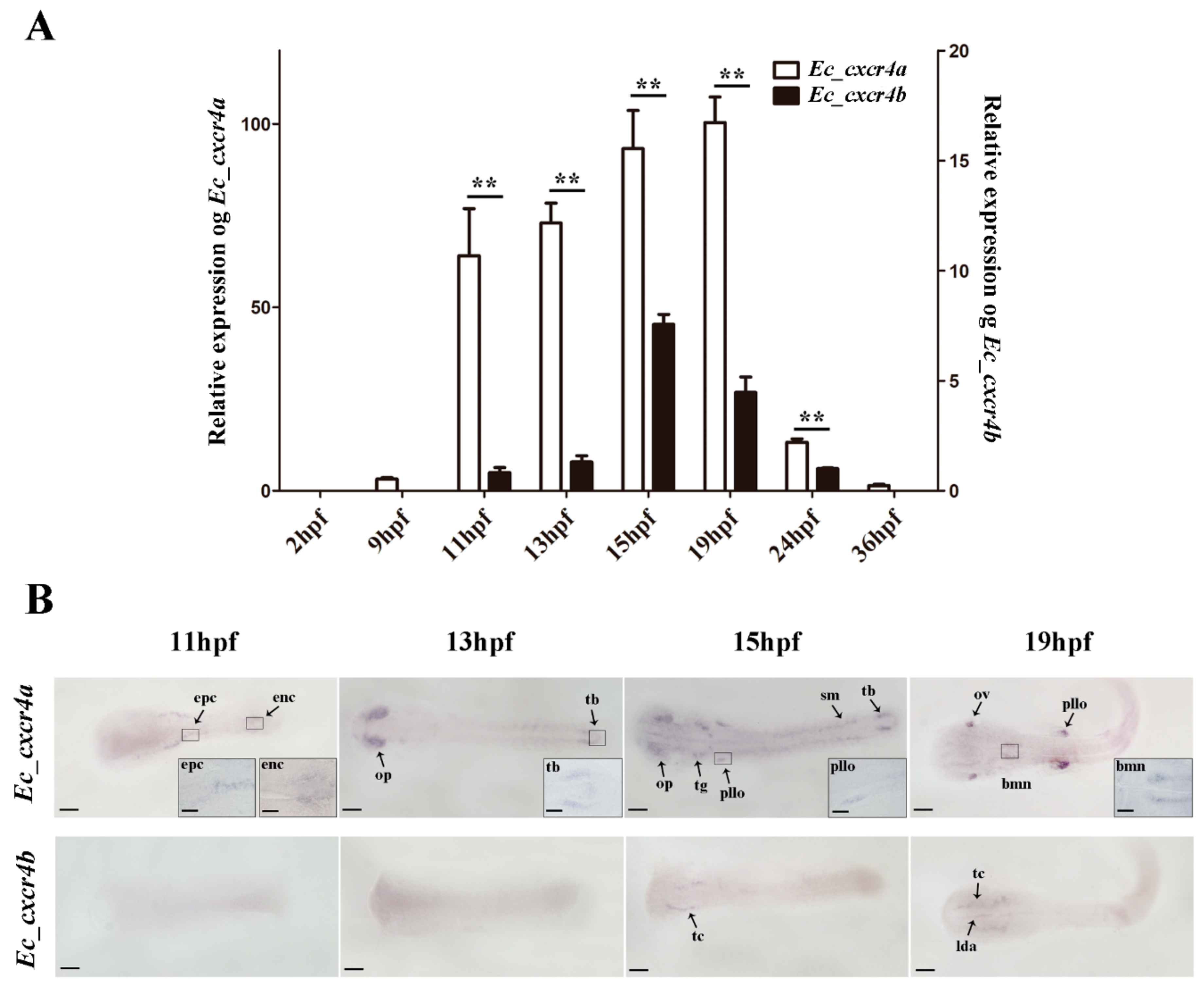 Ijms 19 02943 g005 Ijms 19 02943 g005