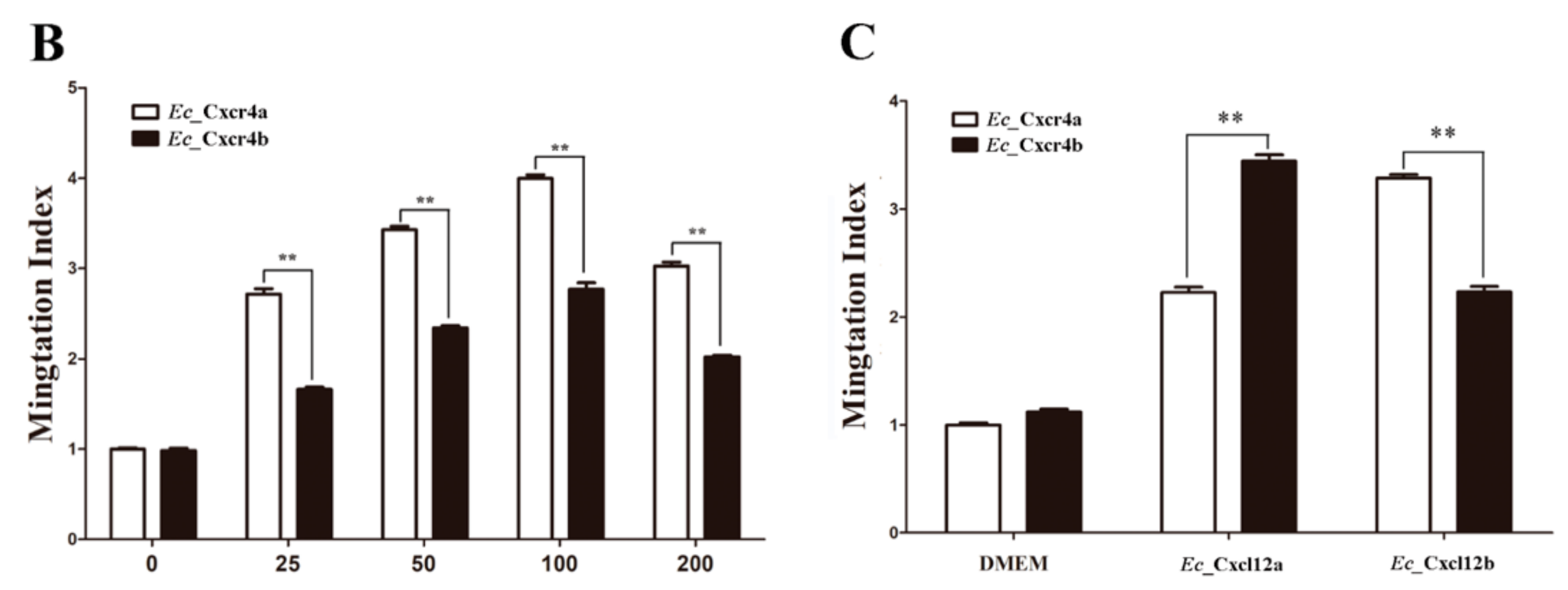 Ijms 19 02943 g006b Ijms 19 02943 g006b