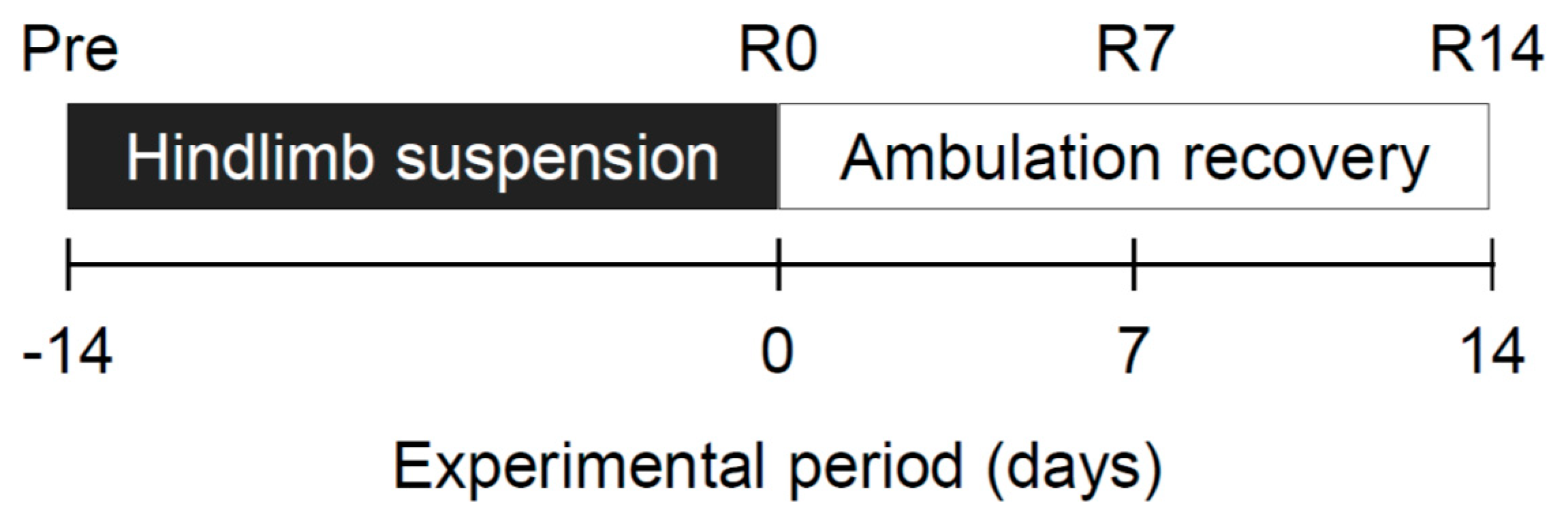 Ijms 19 02954 g001 Ijms 19 02954 g001