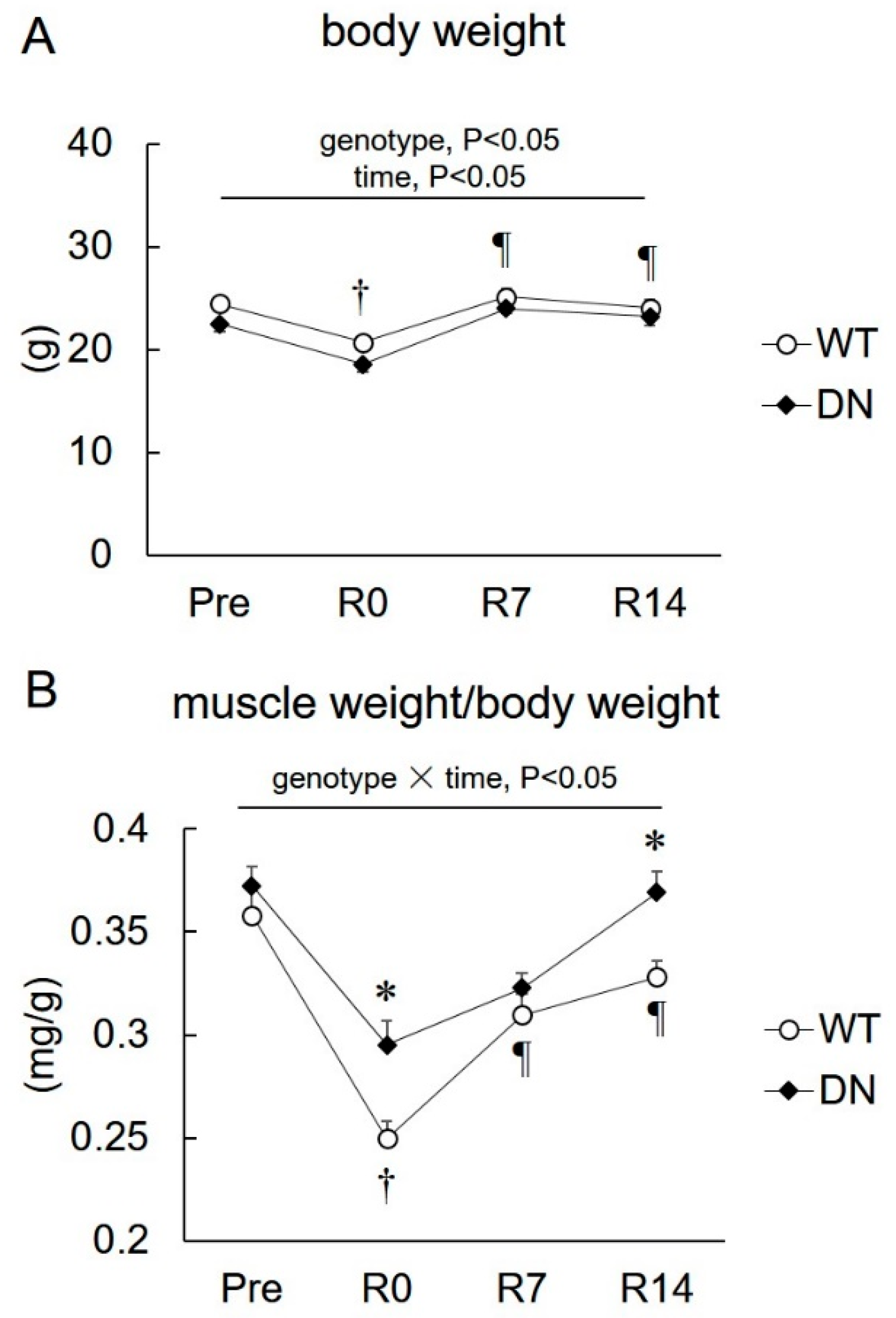 Ijms 19 02954 g003 Ijms 19 02954 g003