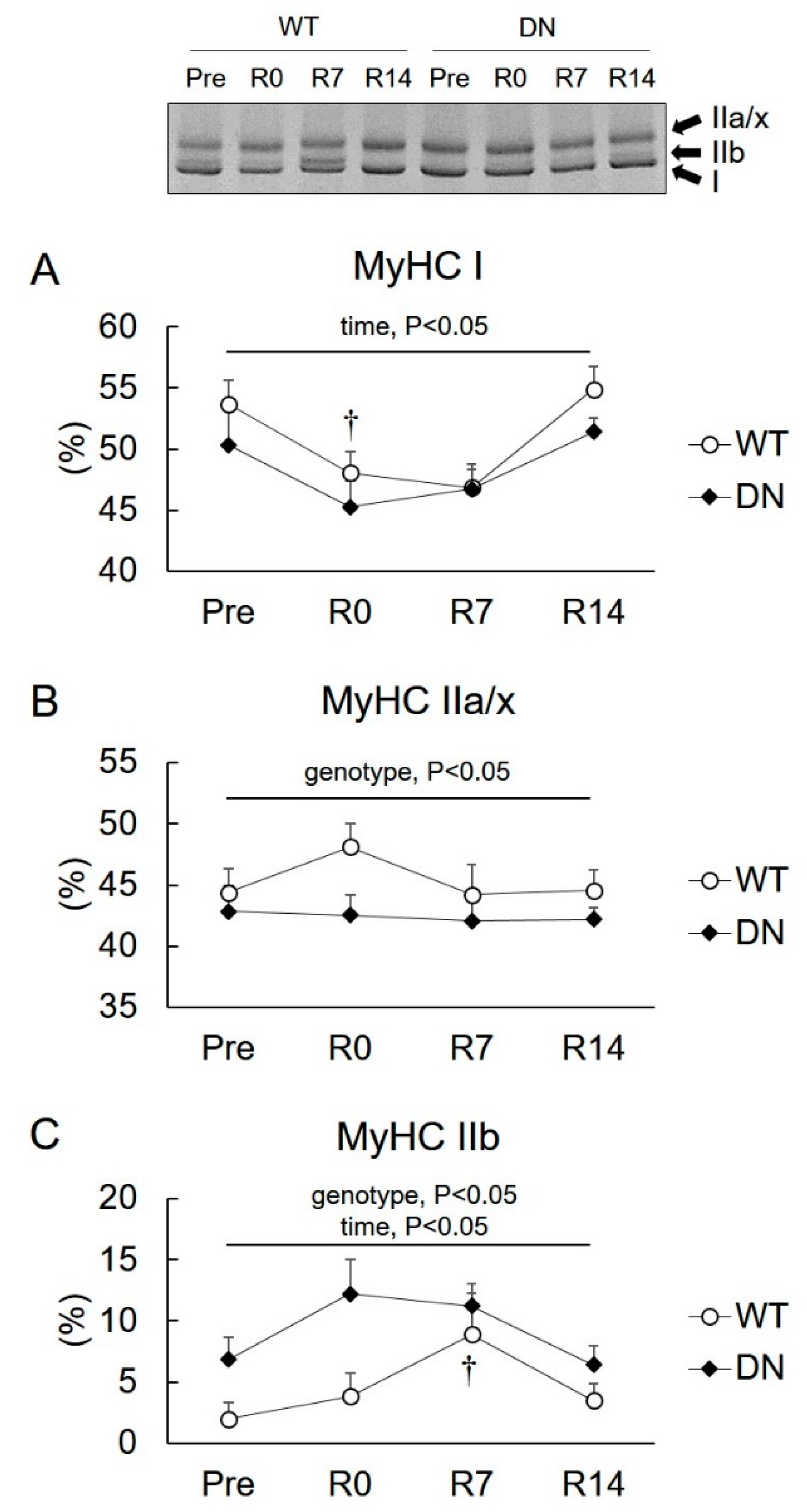 Ijms 19 02954 g004 Ijms 19 02954 g004
