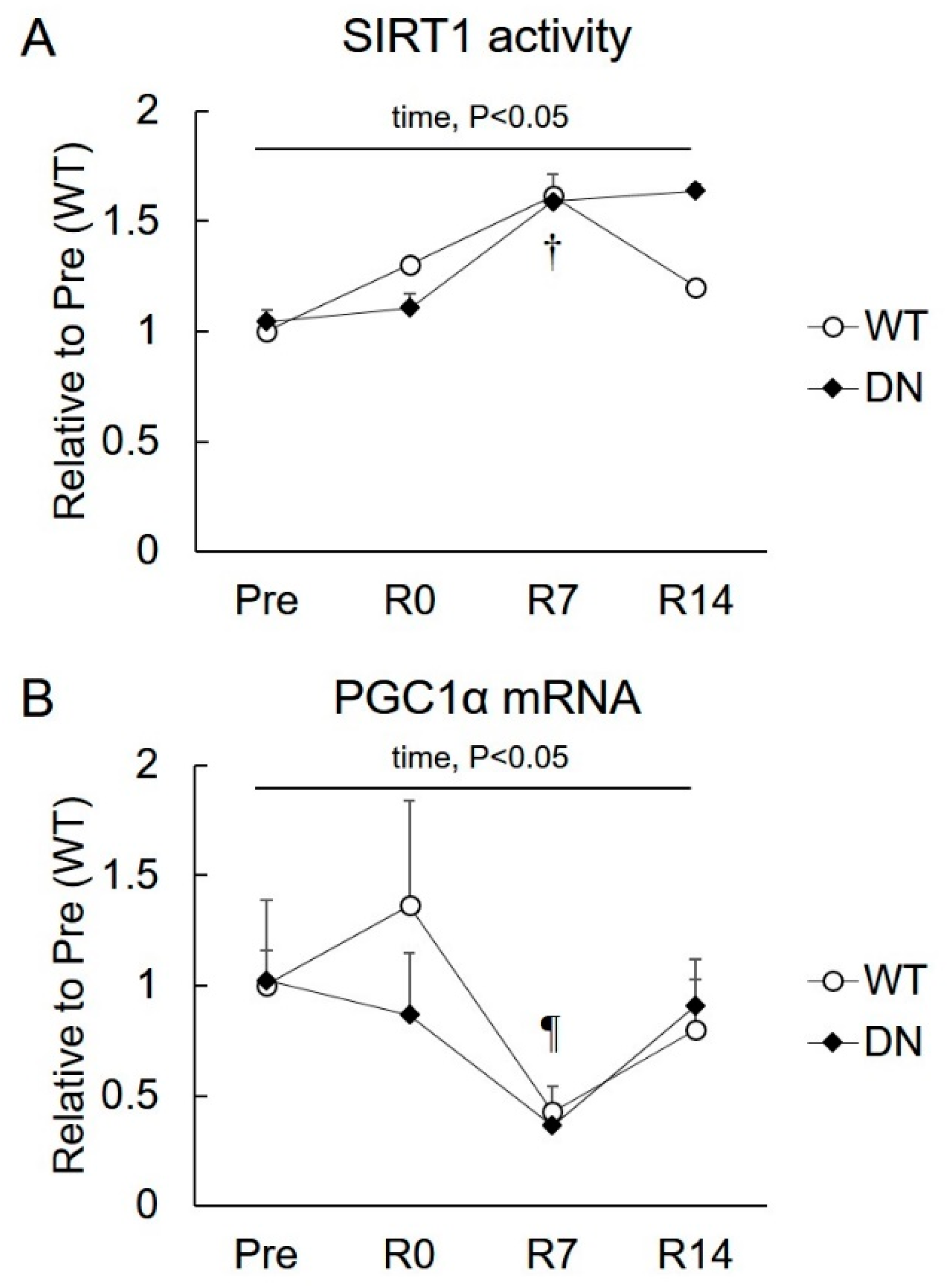 Ijms 19 02954 g005 Ijms 19 02954 g005