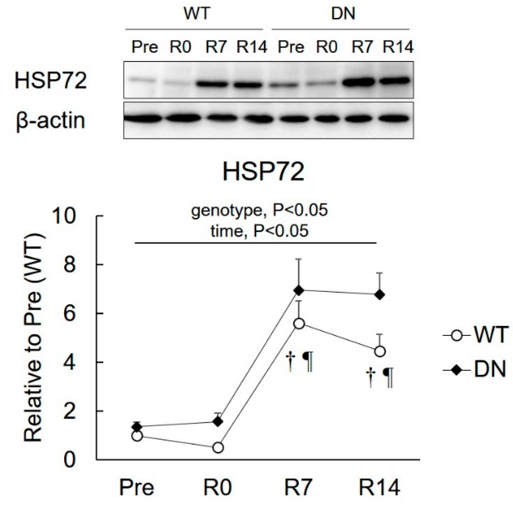 Ijms 19 02954 g006 Ijms 19 02954 g006