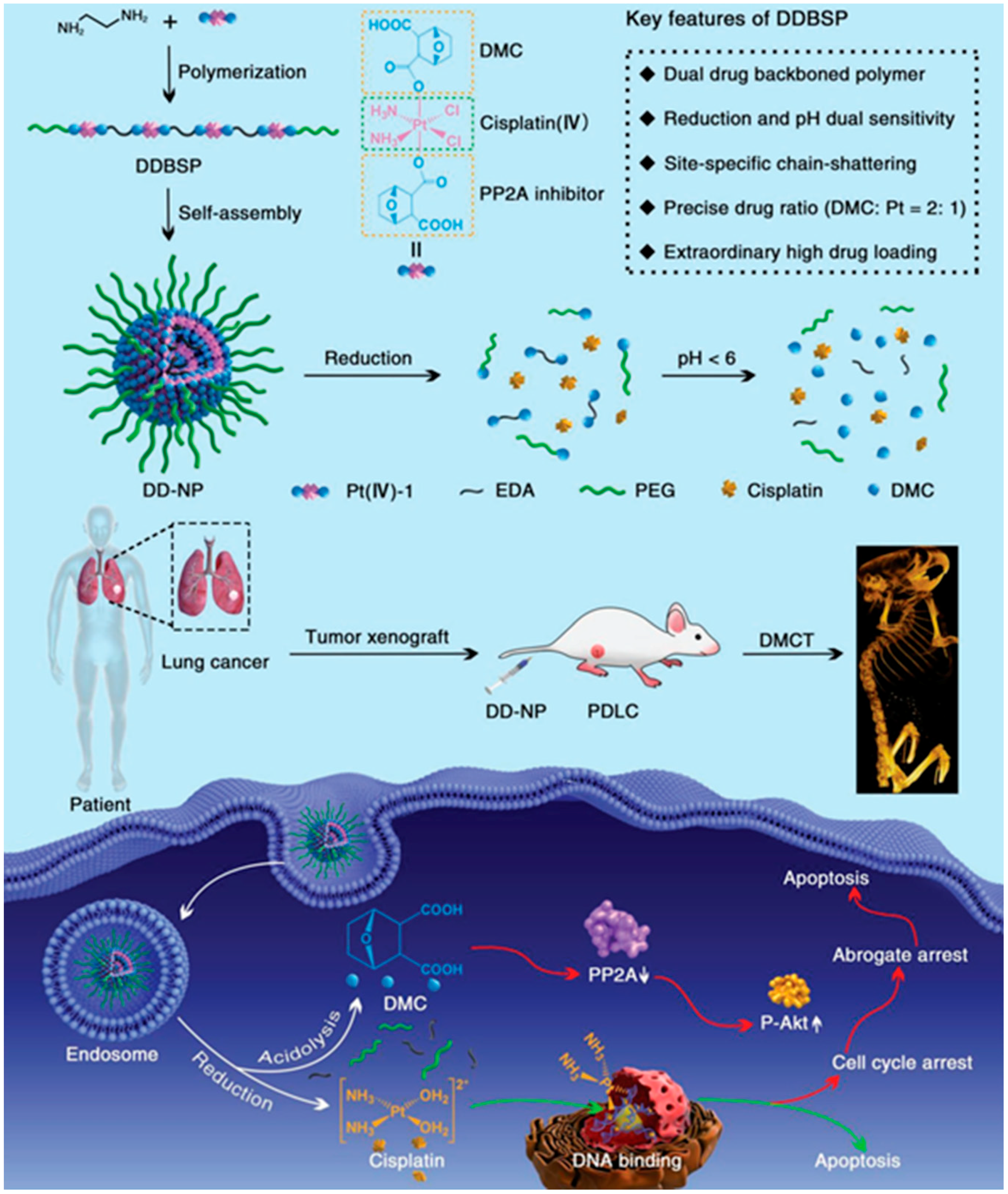 Ijms 19 02963 g002 Ijms 19 02963 g002