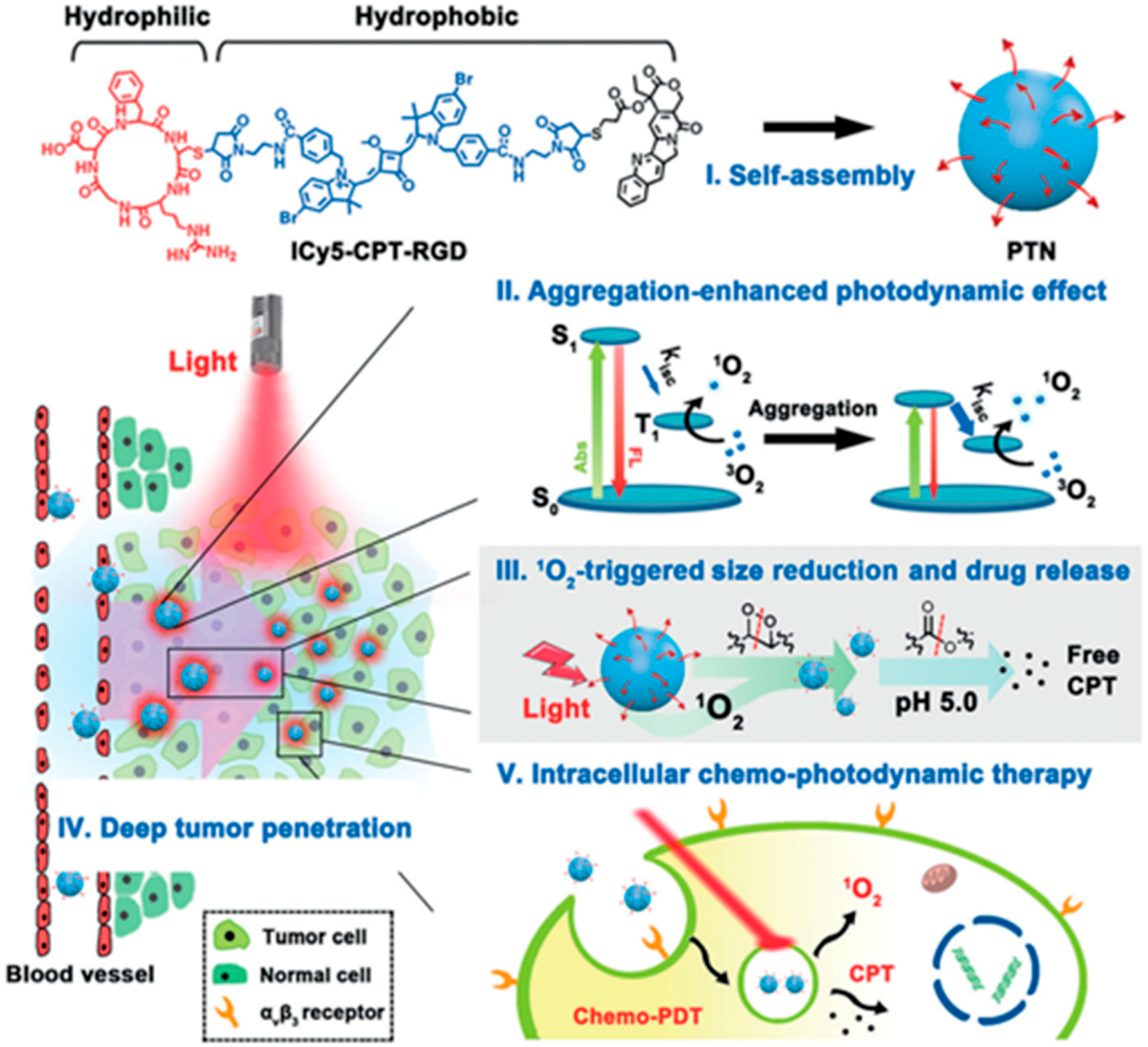 Ijms 19 02963 g004 Ijms 19 02963 g004