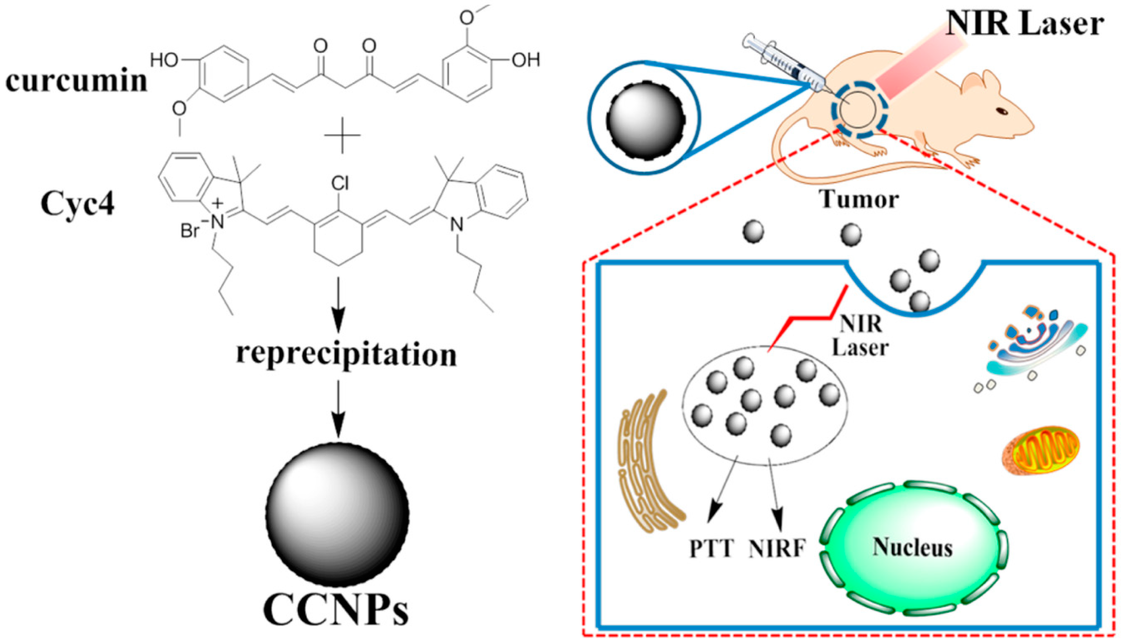 Ijms 19 02963 g005 Ijms 19 02963 g005