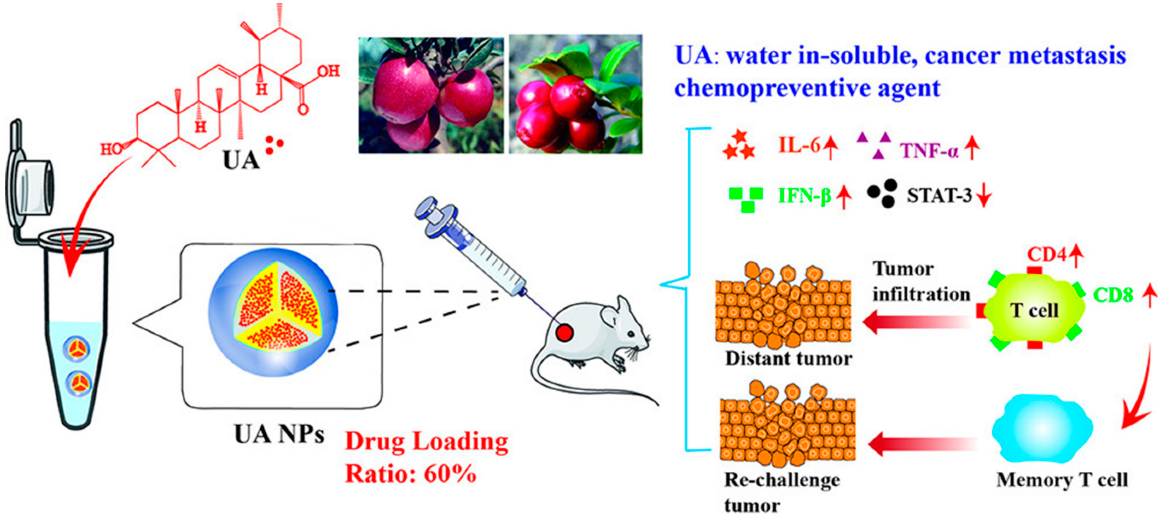 Ijms 19 02963 g006 Ijms 19 02963 g006