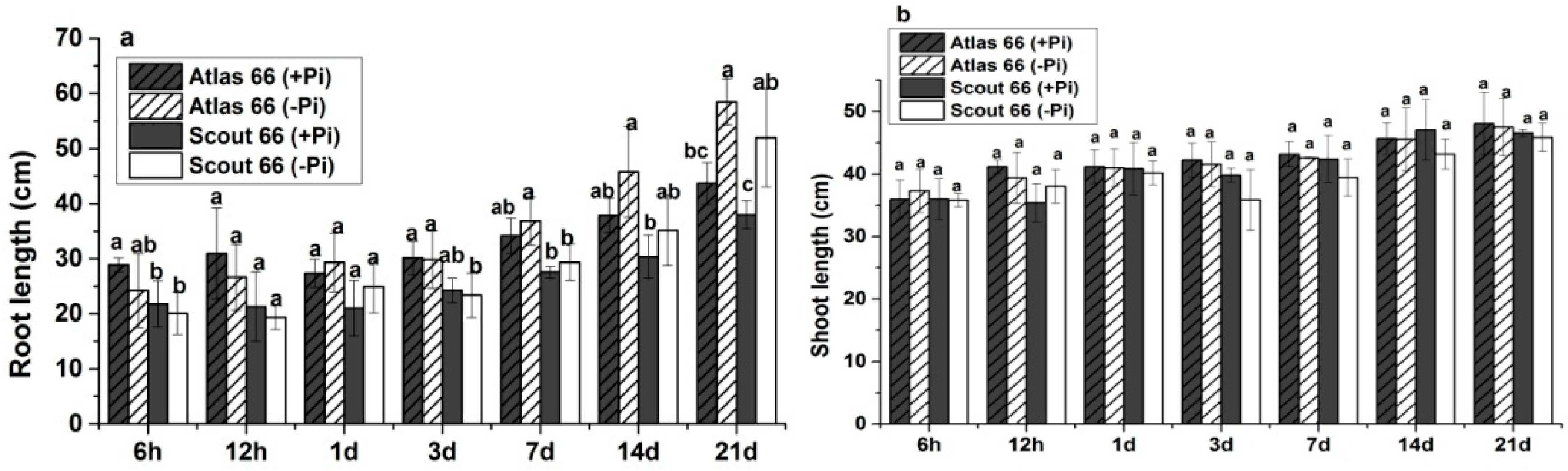 Ijms 19 02964 g001 Ijms 19 02964 g001