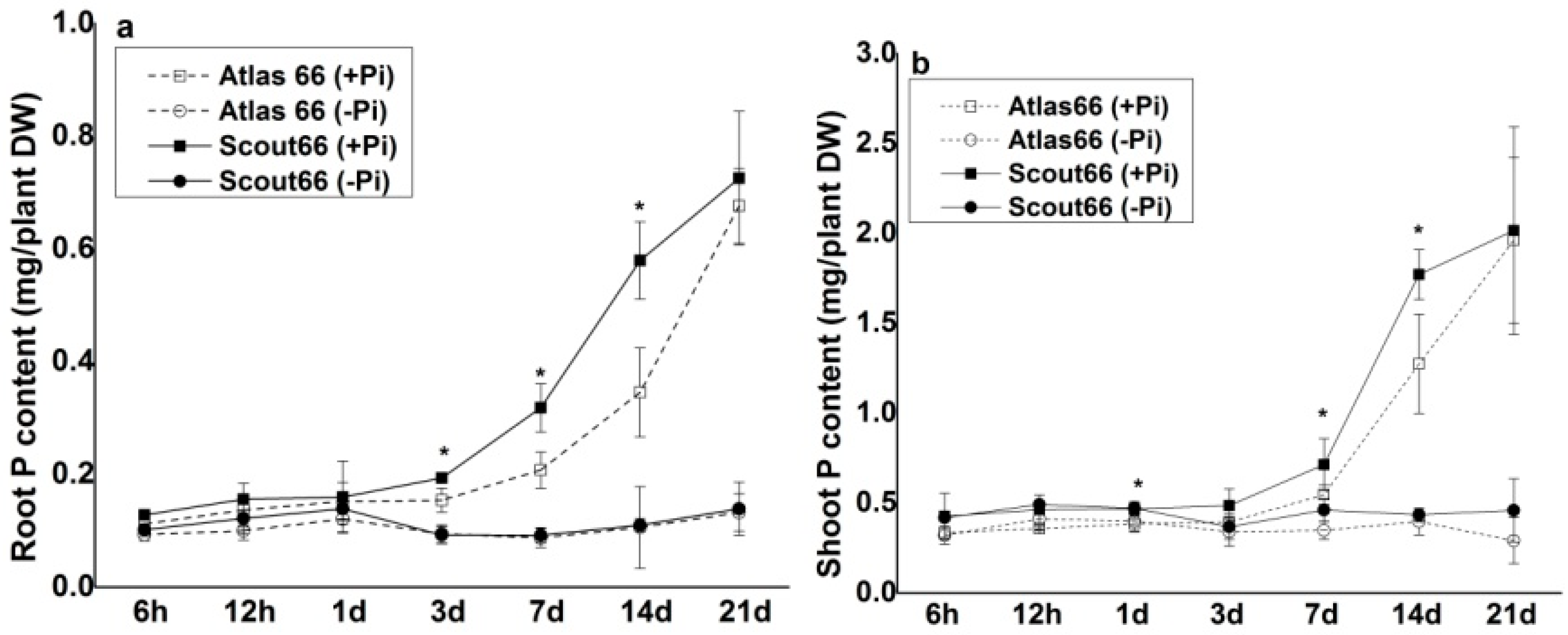 Ijms 19 02964 g004 Ijms 19 02964 g004