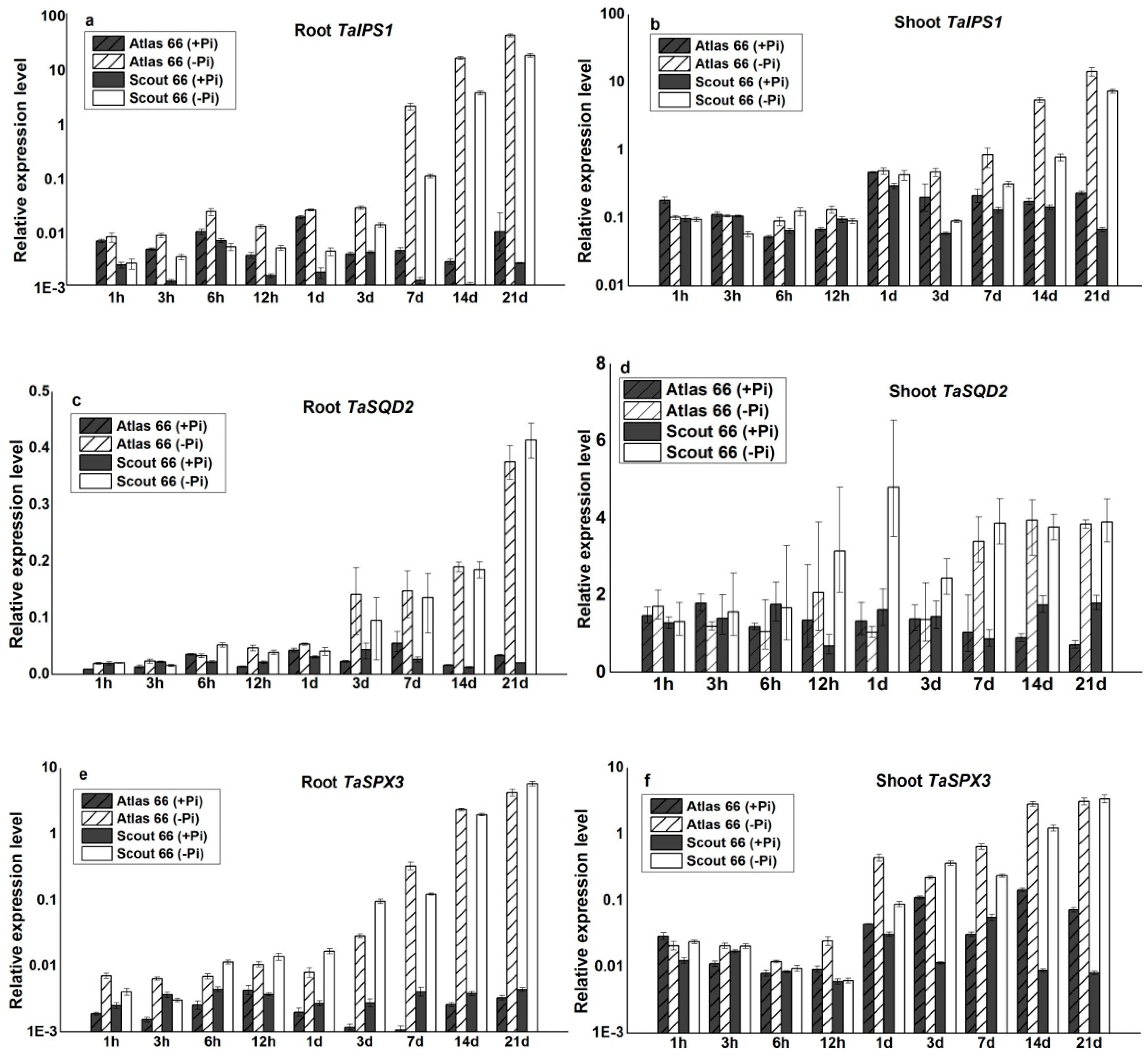 Ijms 19 02964 g007 Ijms 19 02964 g007