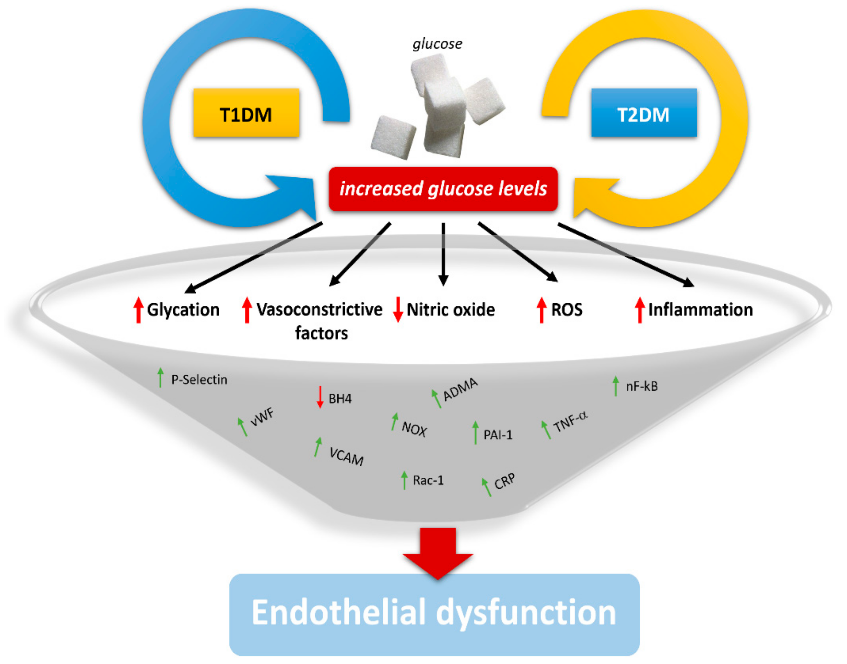 Ijms 19 02968 g001 Ijms 19 02968 g001