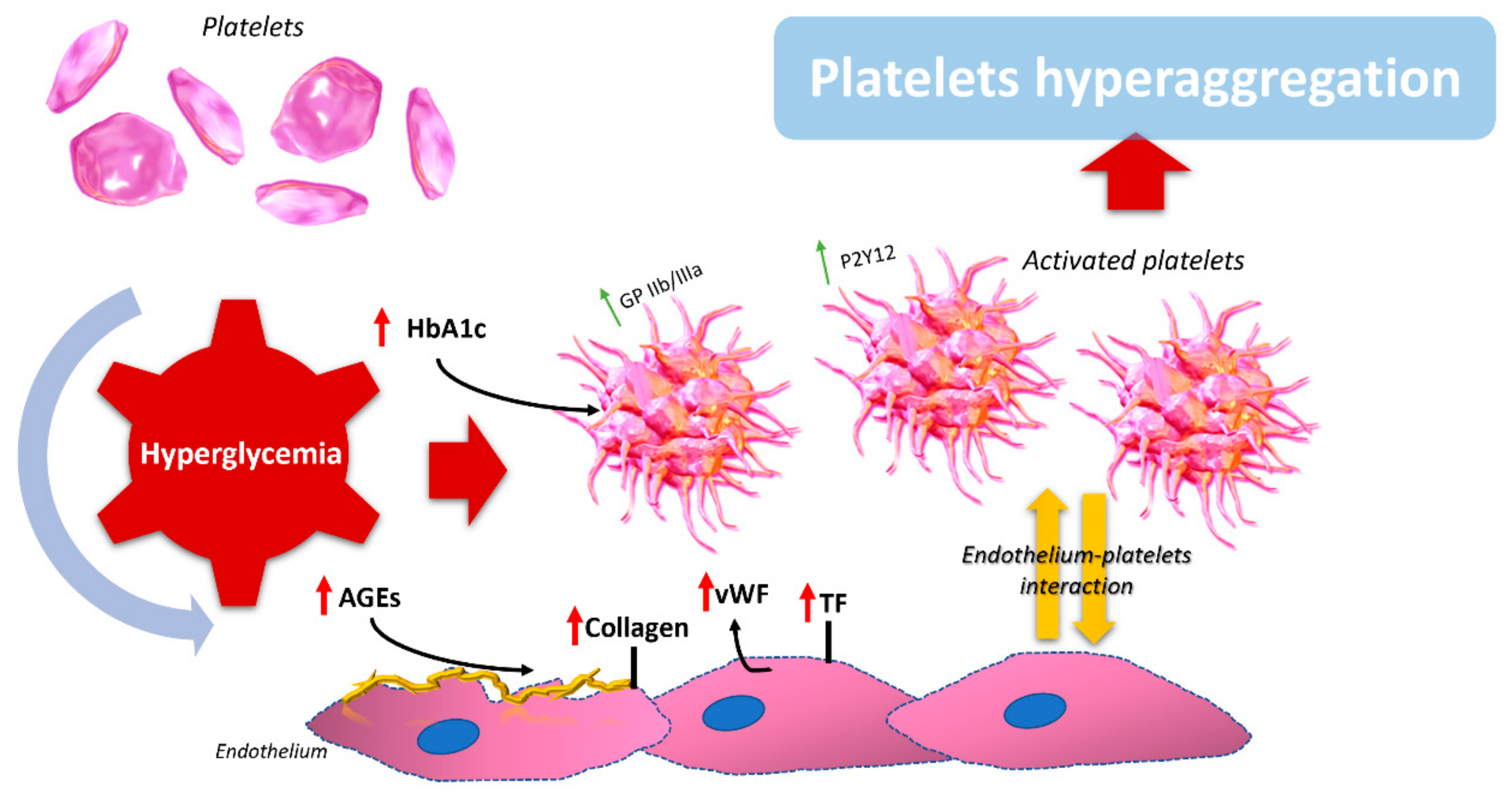 Ijms 19 02968 g002 Ijms 19 02968 g002