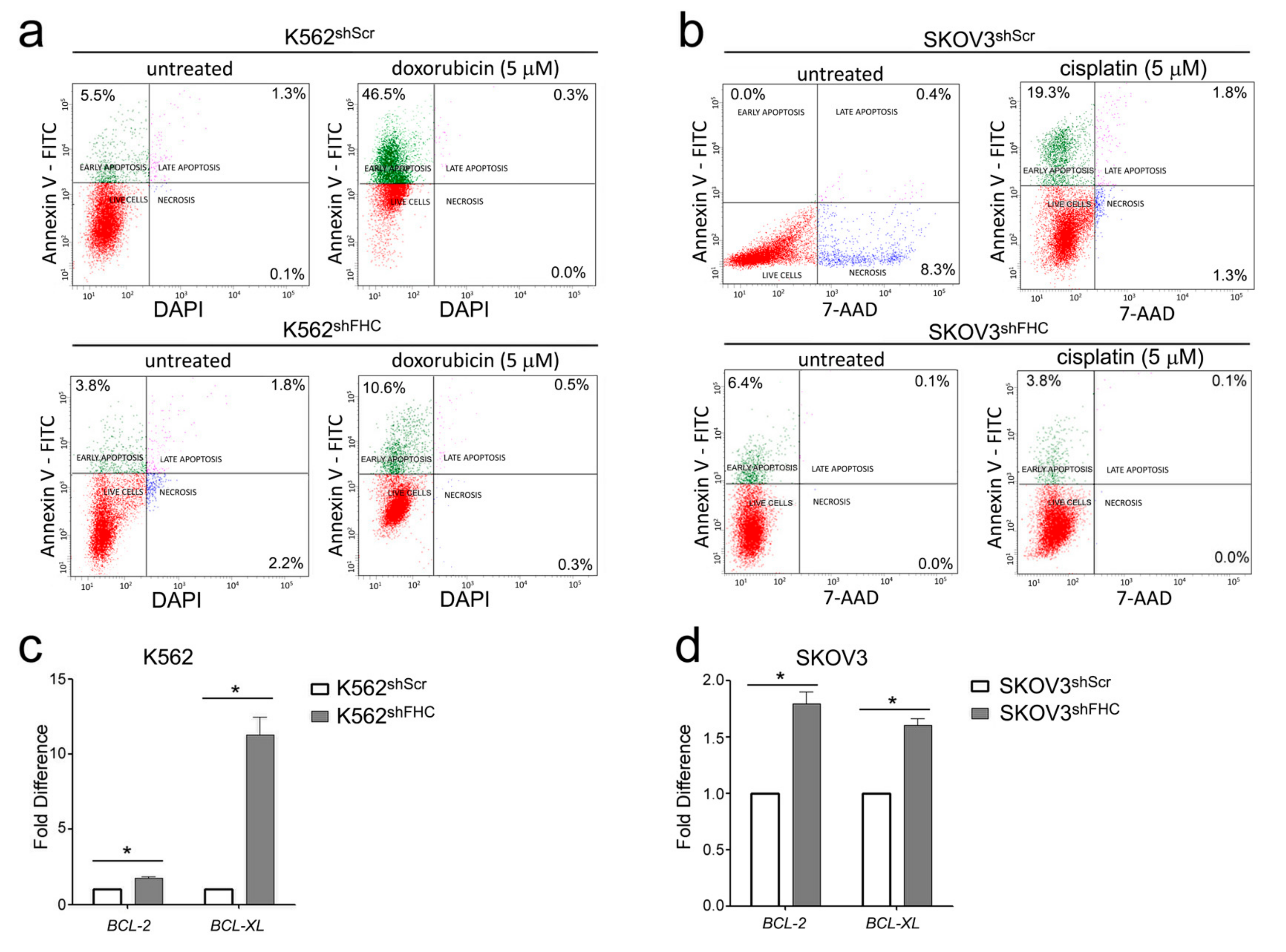Ijms 19 02969 g005 Ijms 19 02969 g005