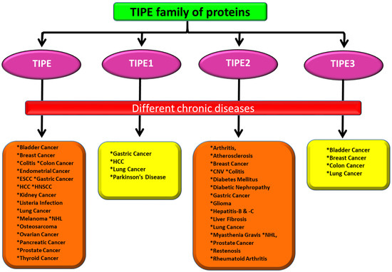 Ijms Free Full Text Tipe Family Of Proteins And Its Implications In Different Chronic Diseases Html