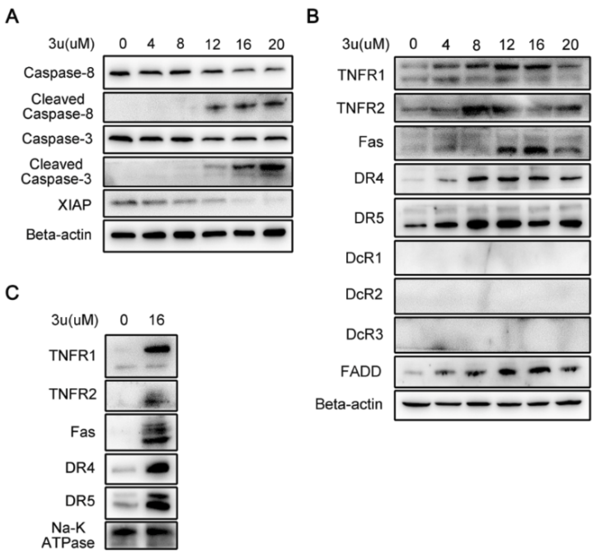 Ijms 19 02975 g004 Ijms 19 02975 g004