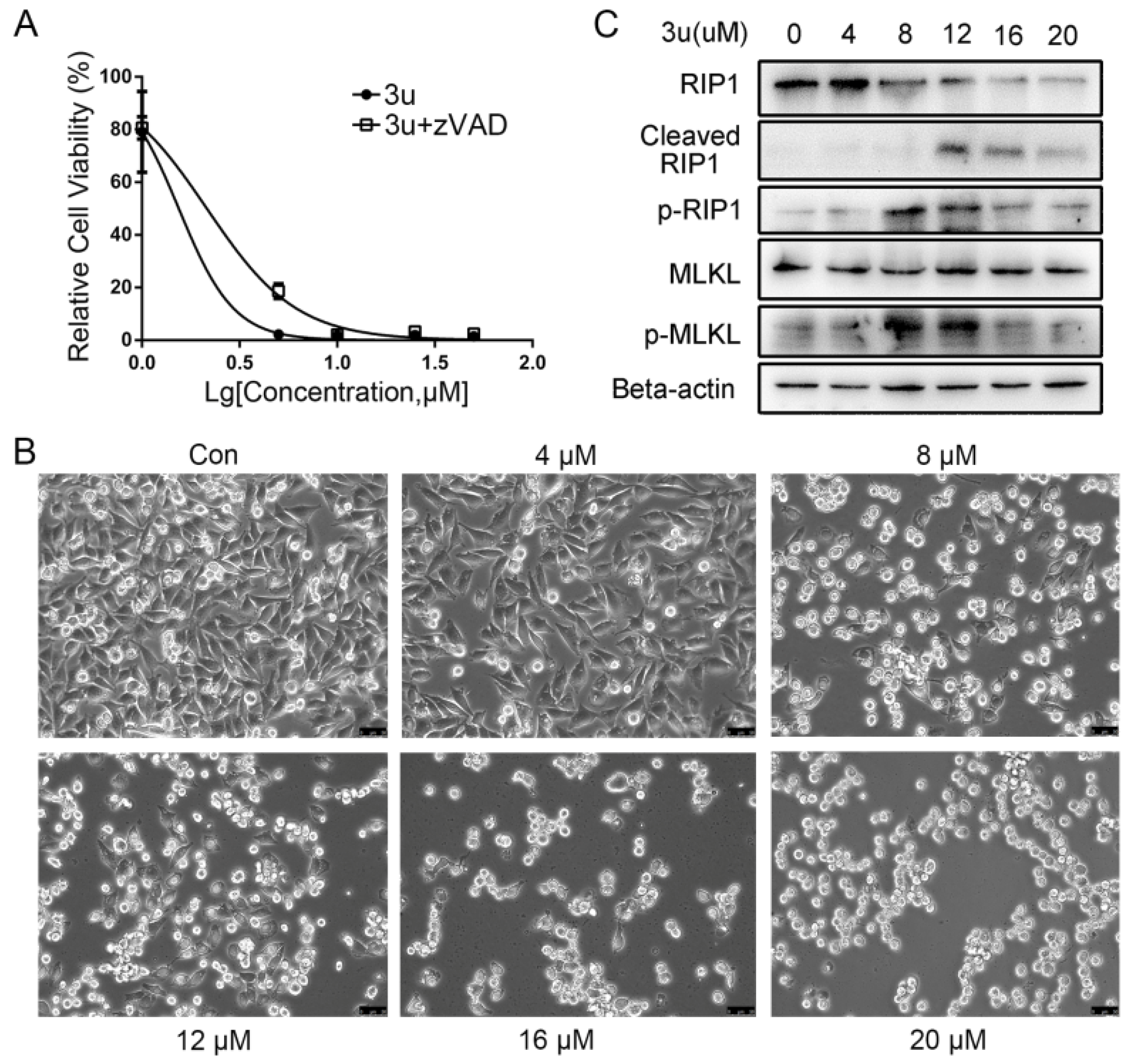 Ijms 19 02975 g006 Ijms 19 02975 g006