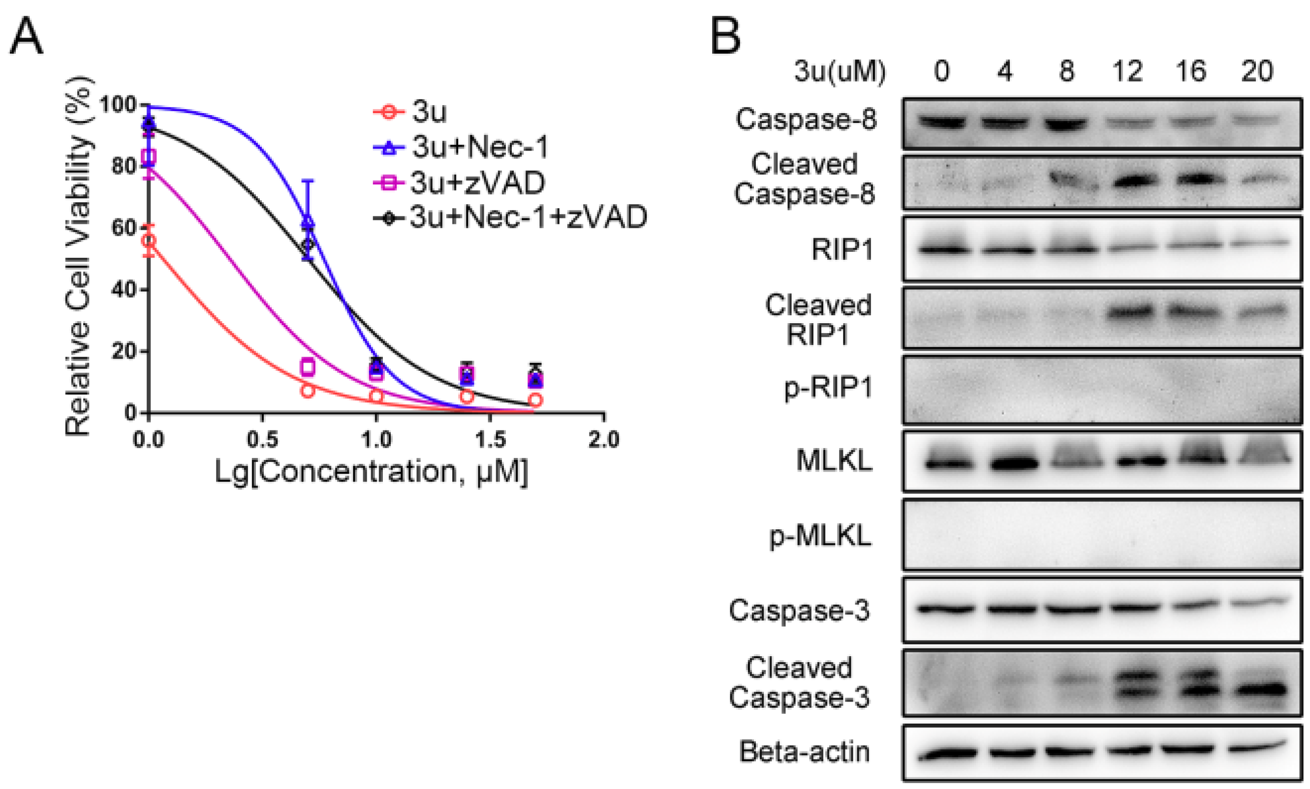 Ijms 19 02975 g008 Ijms 19 02975 g008