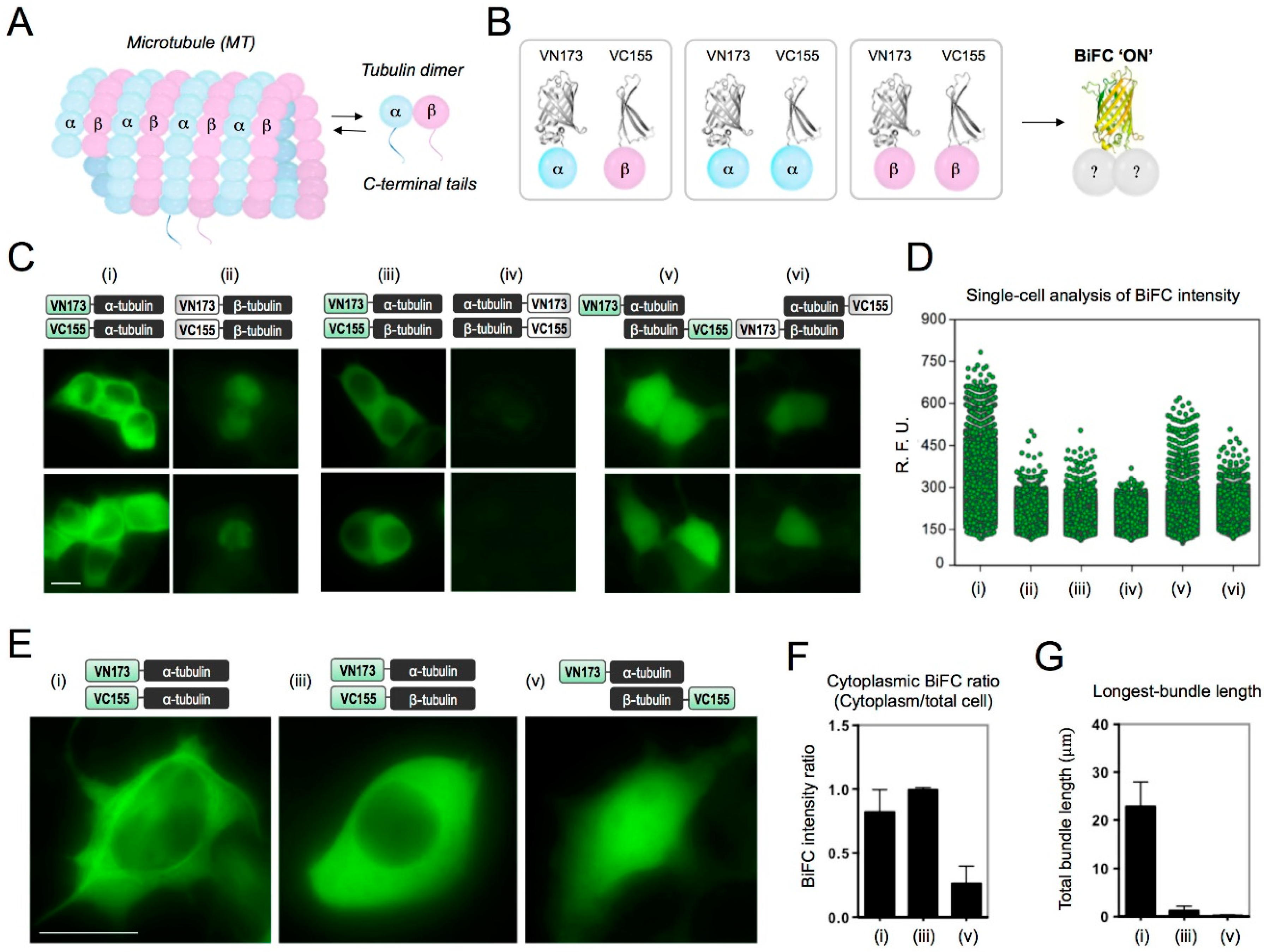Ijms 19 02978 g001 Ijms 19 02978 g001