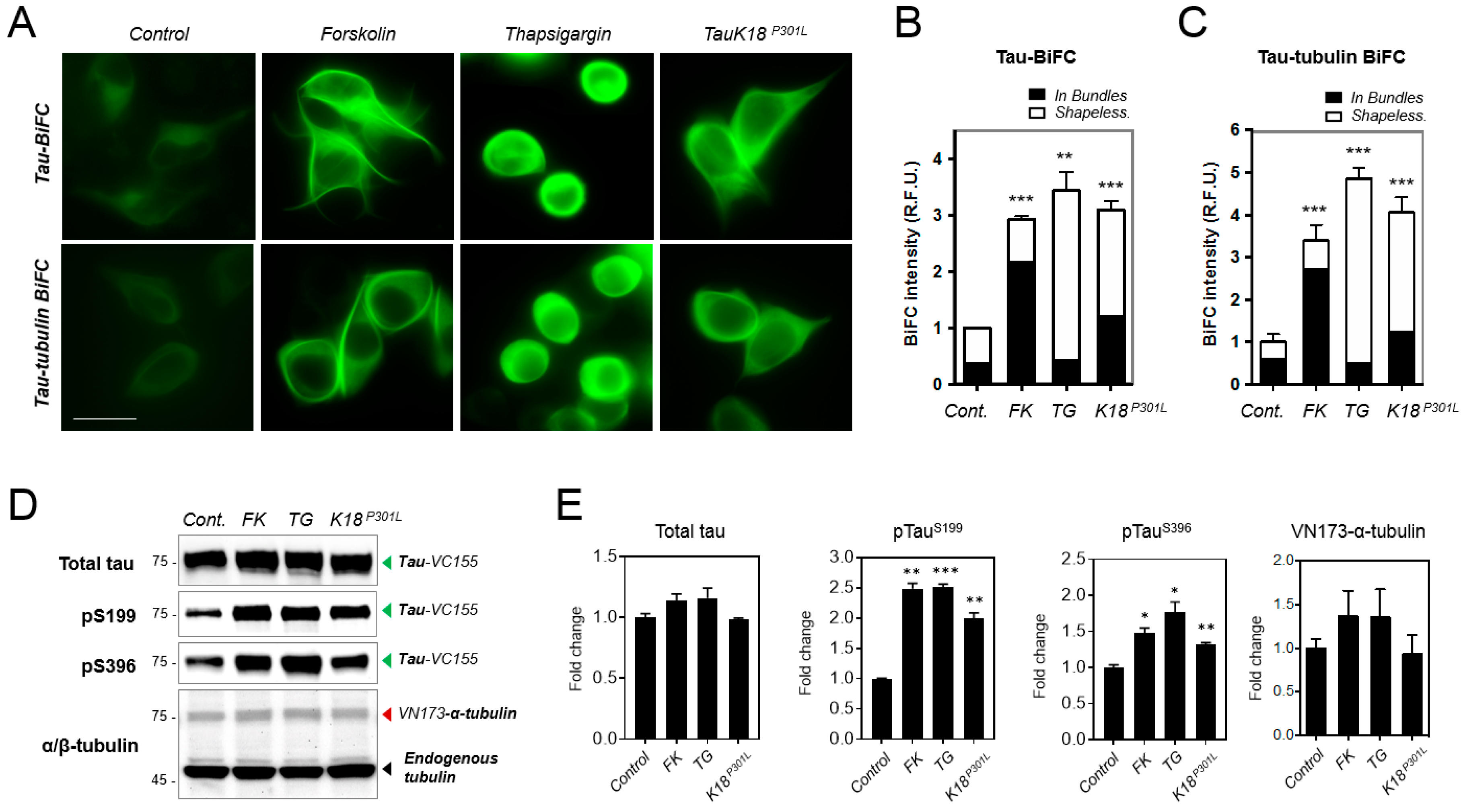 Ijms 19 02978 g004 Ijms 19 02978 g004