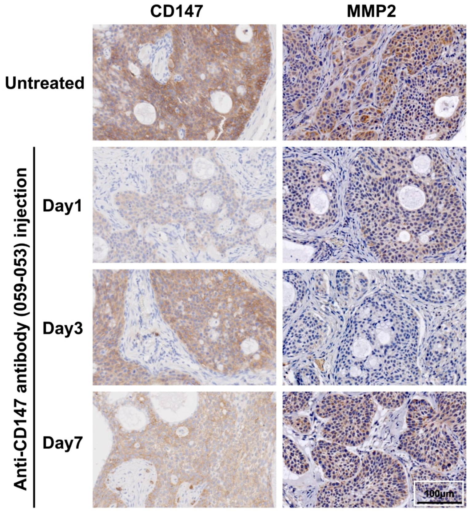 Ijms 19 02979 g001 Ijms 19 02979 g001