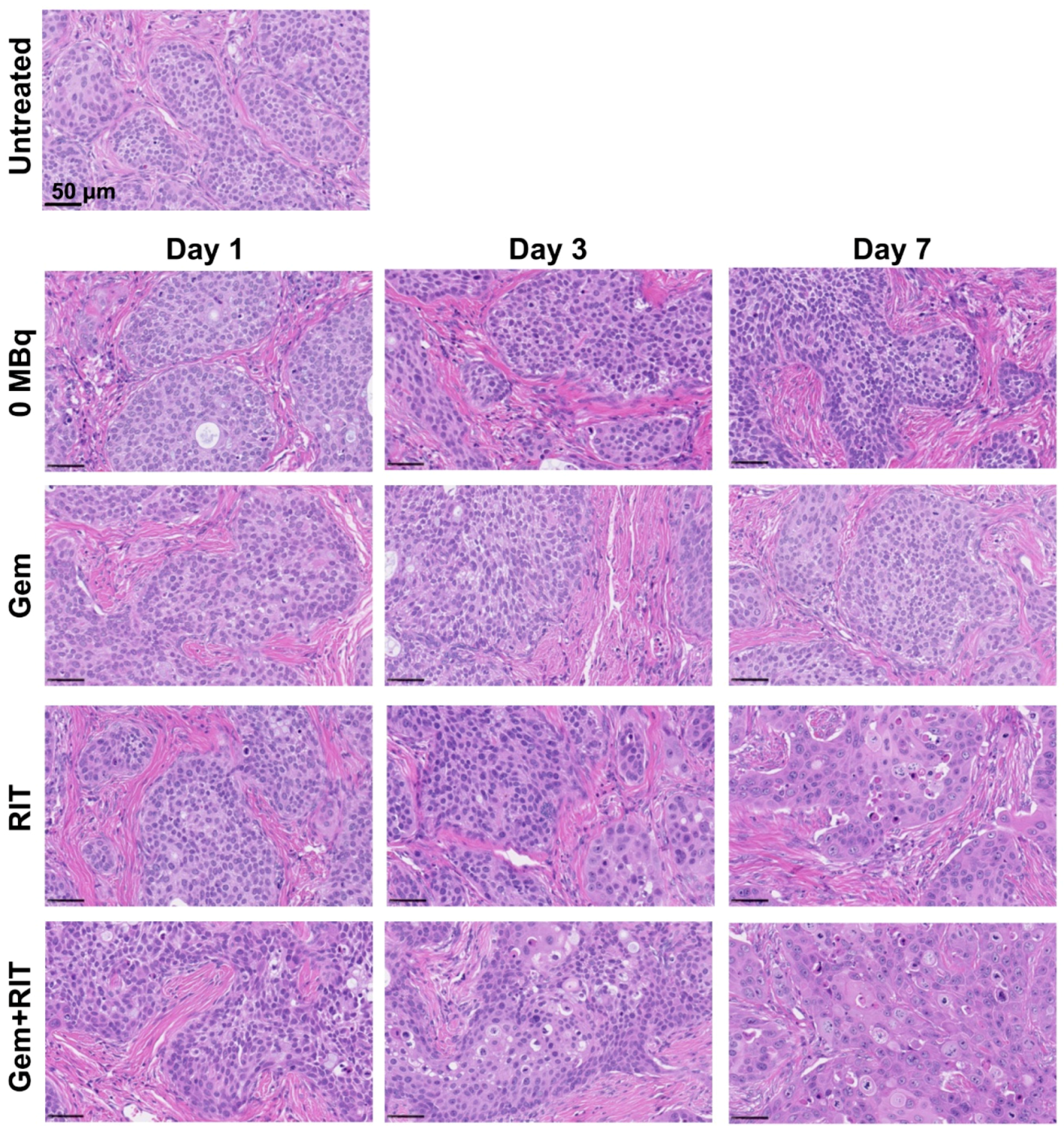 Ijms 19 02979 g007 Ijms 19 02979 g007