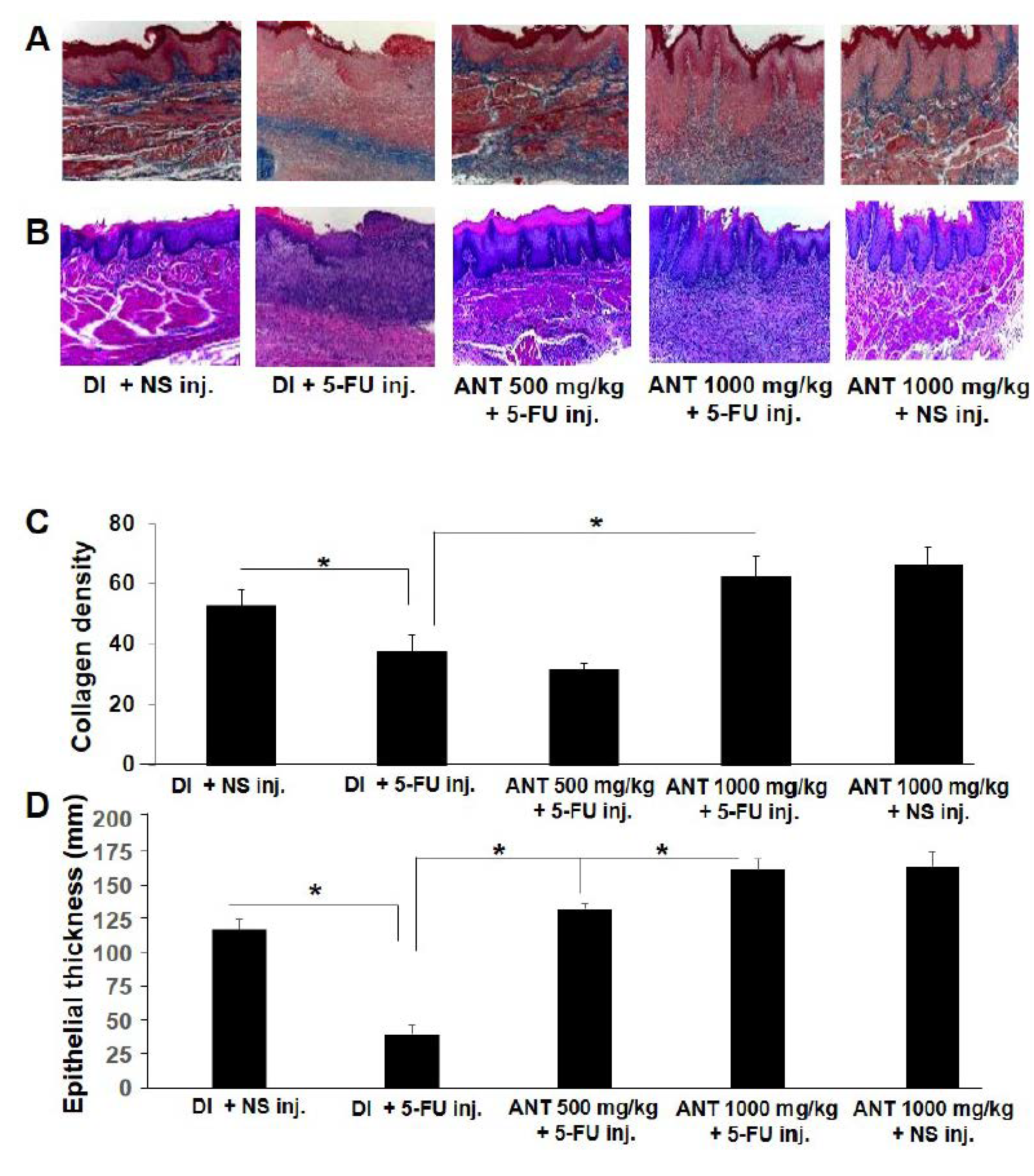 Ijms 19 02981 g004 Ijms 19 02981 g004