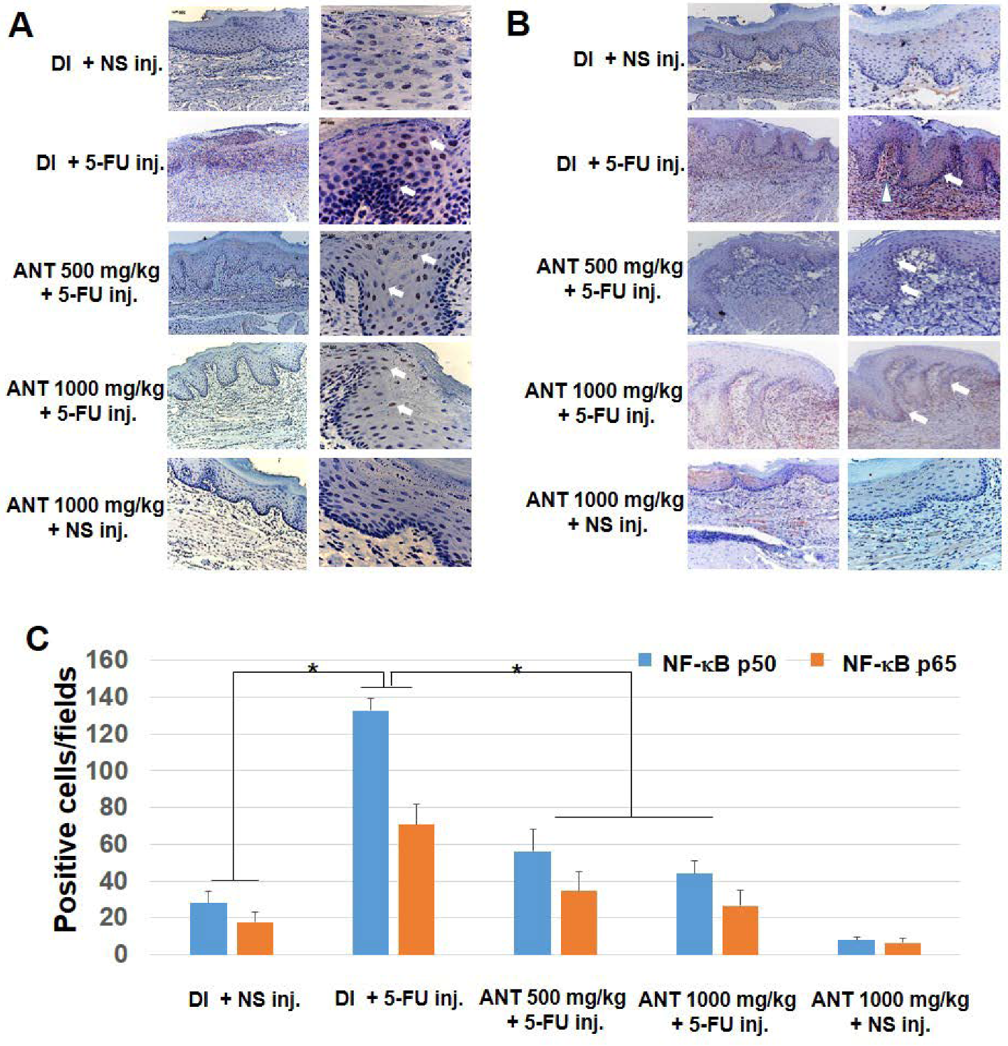 Ijms 19 02981 g005 Ijms 19 02981 g005