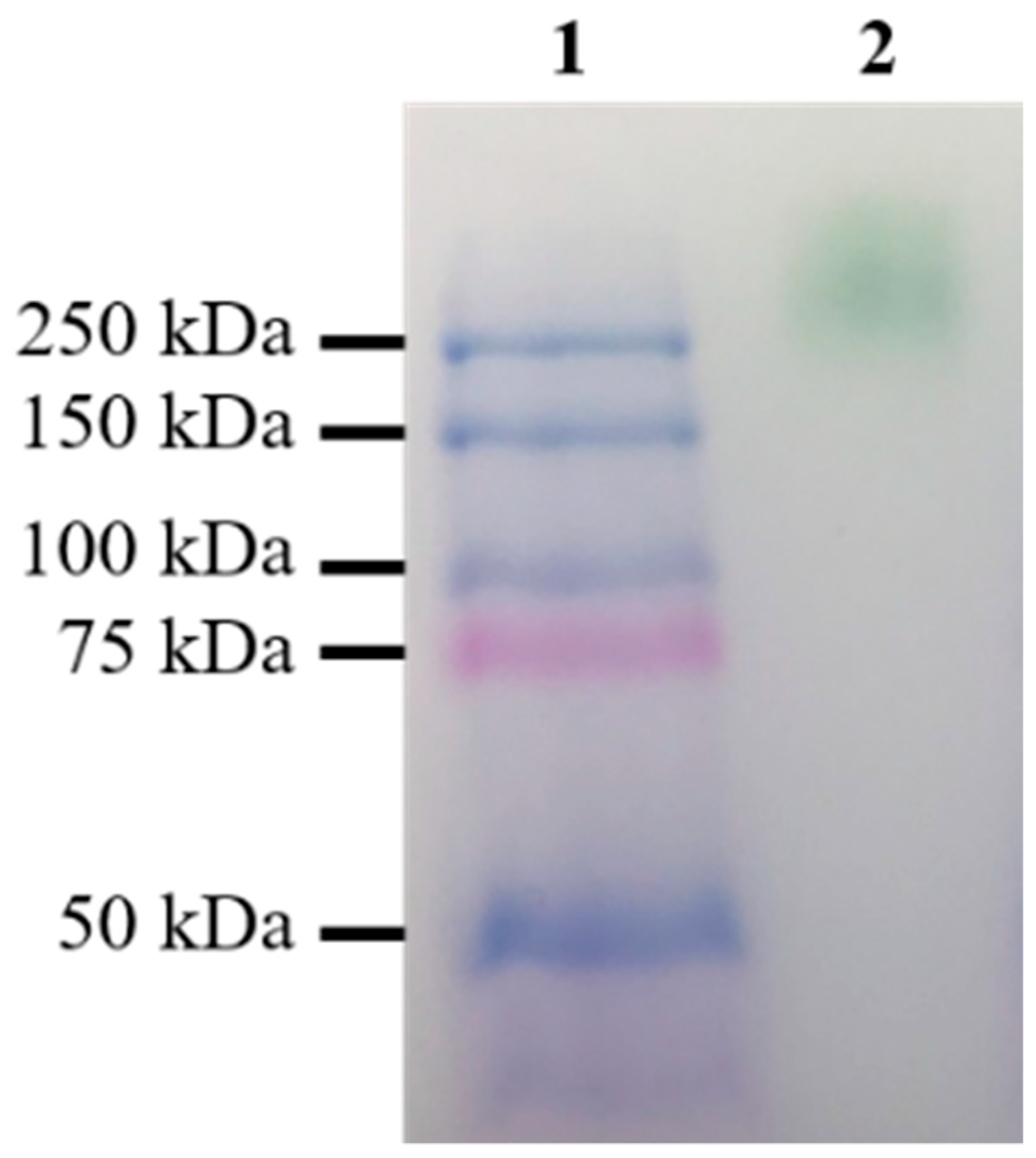 Ijms 19 02989 g005 Ijms 19 02989 g005