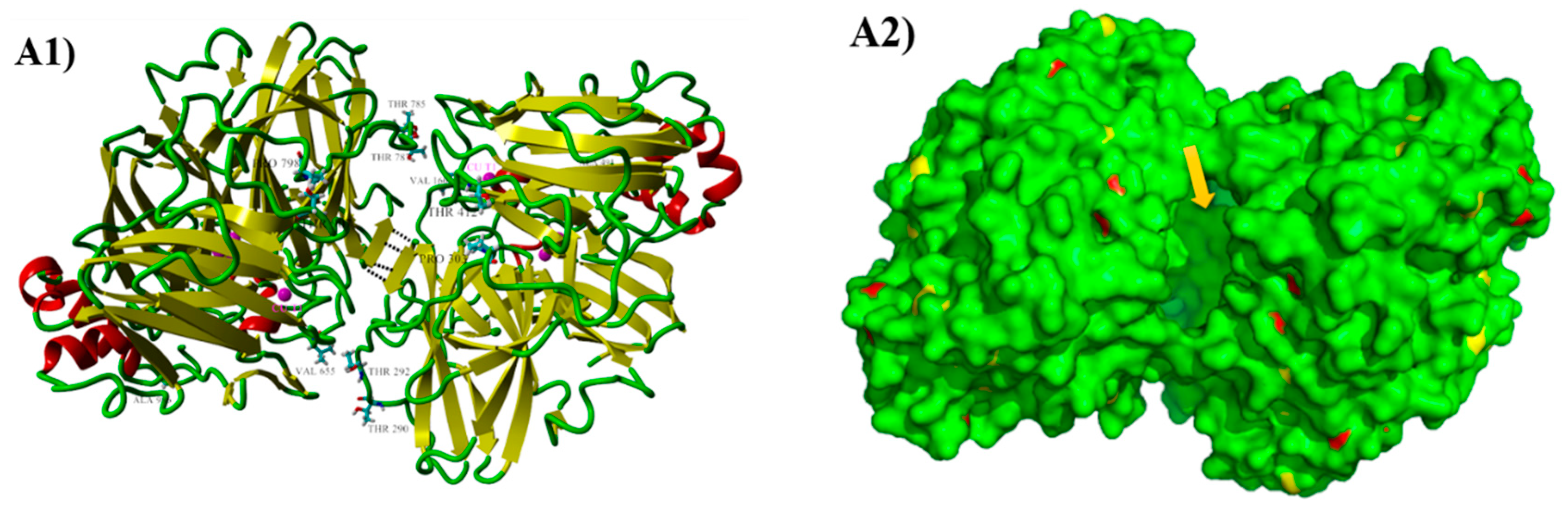 Ijms 19 02989 g006a Ijms 19 02989 g006a