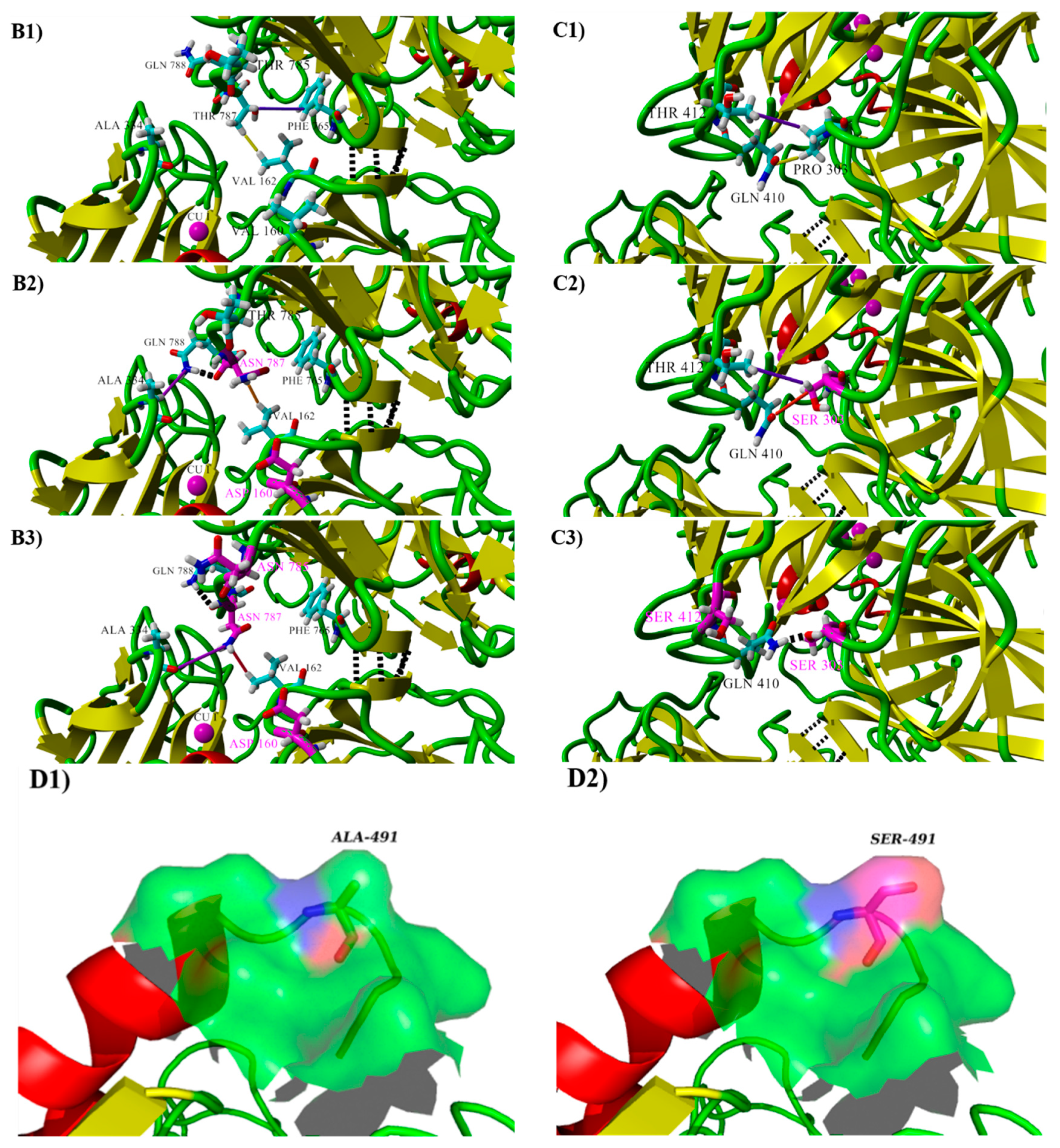 Ijms 19 02989 g006b Ijms 19 02989 g006b