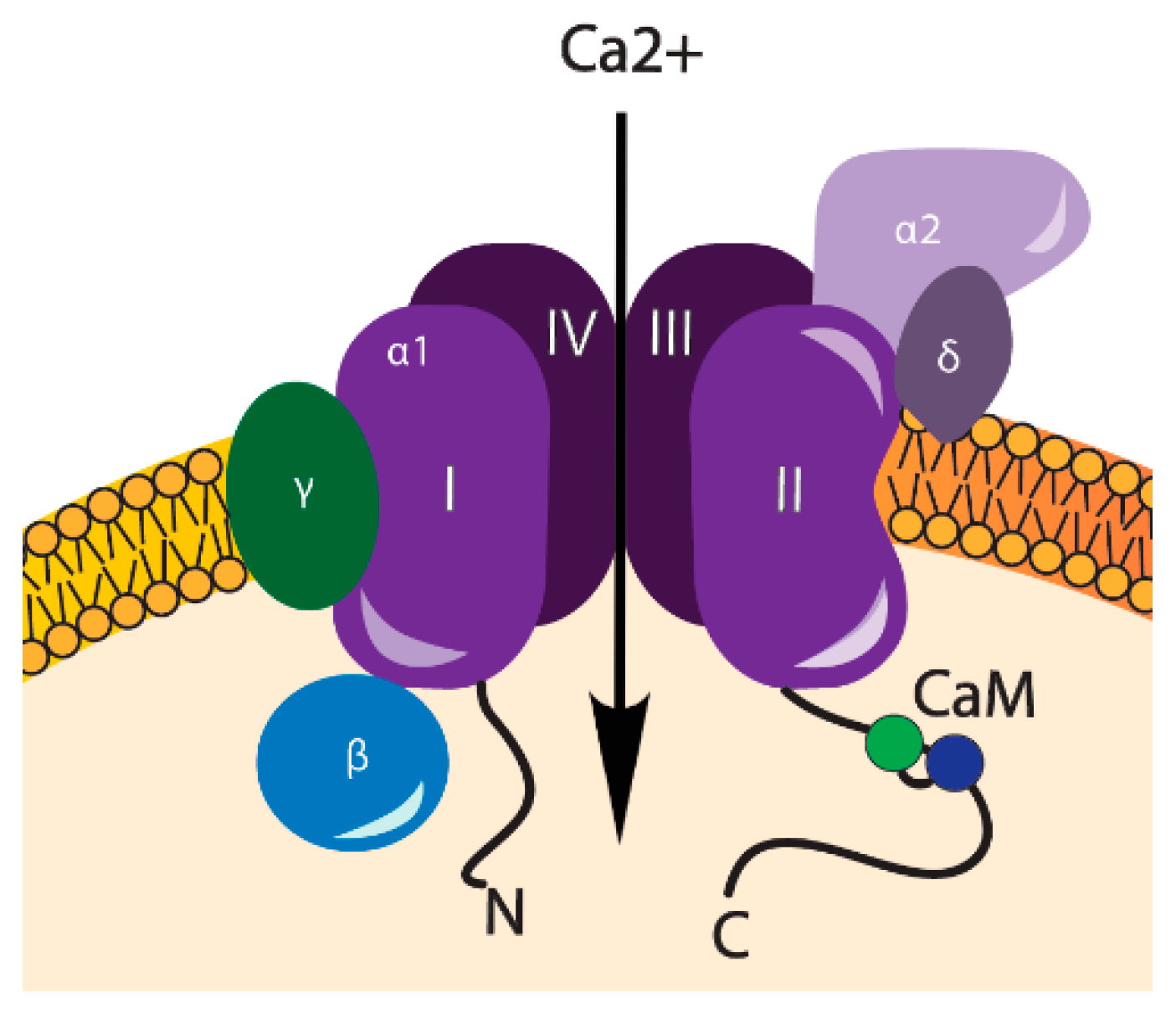 Ijms 19 02998 g002 Ijms 19 02998 g002