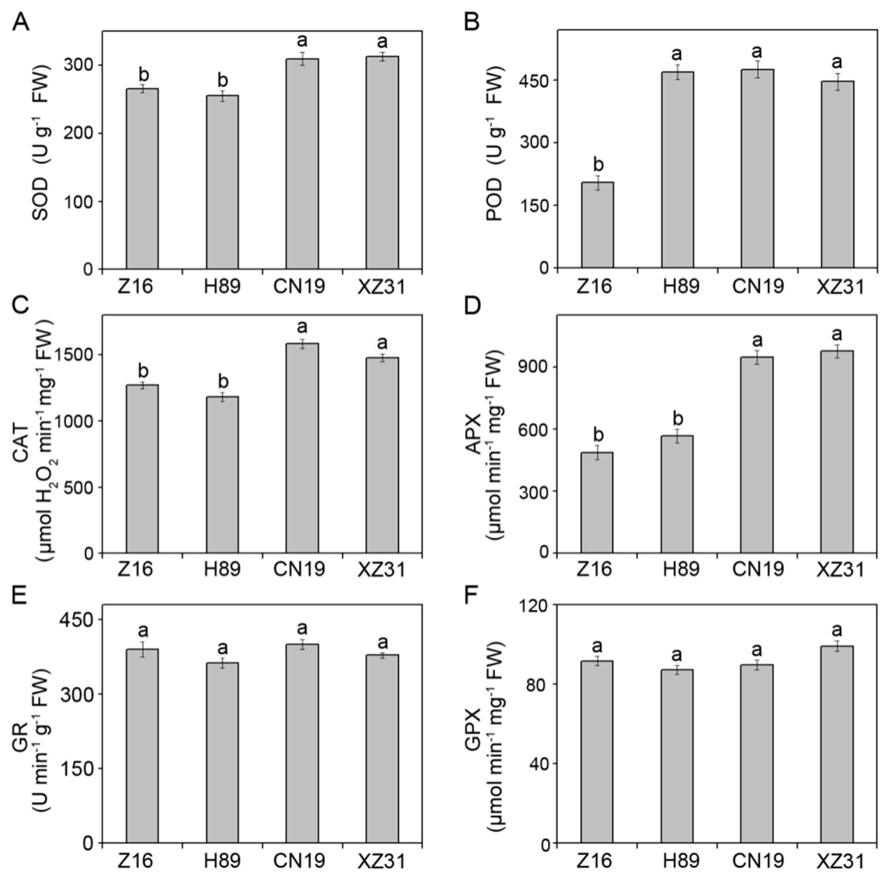Ijms 19 03006 g007 Ijms 19 03006 g007