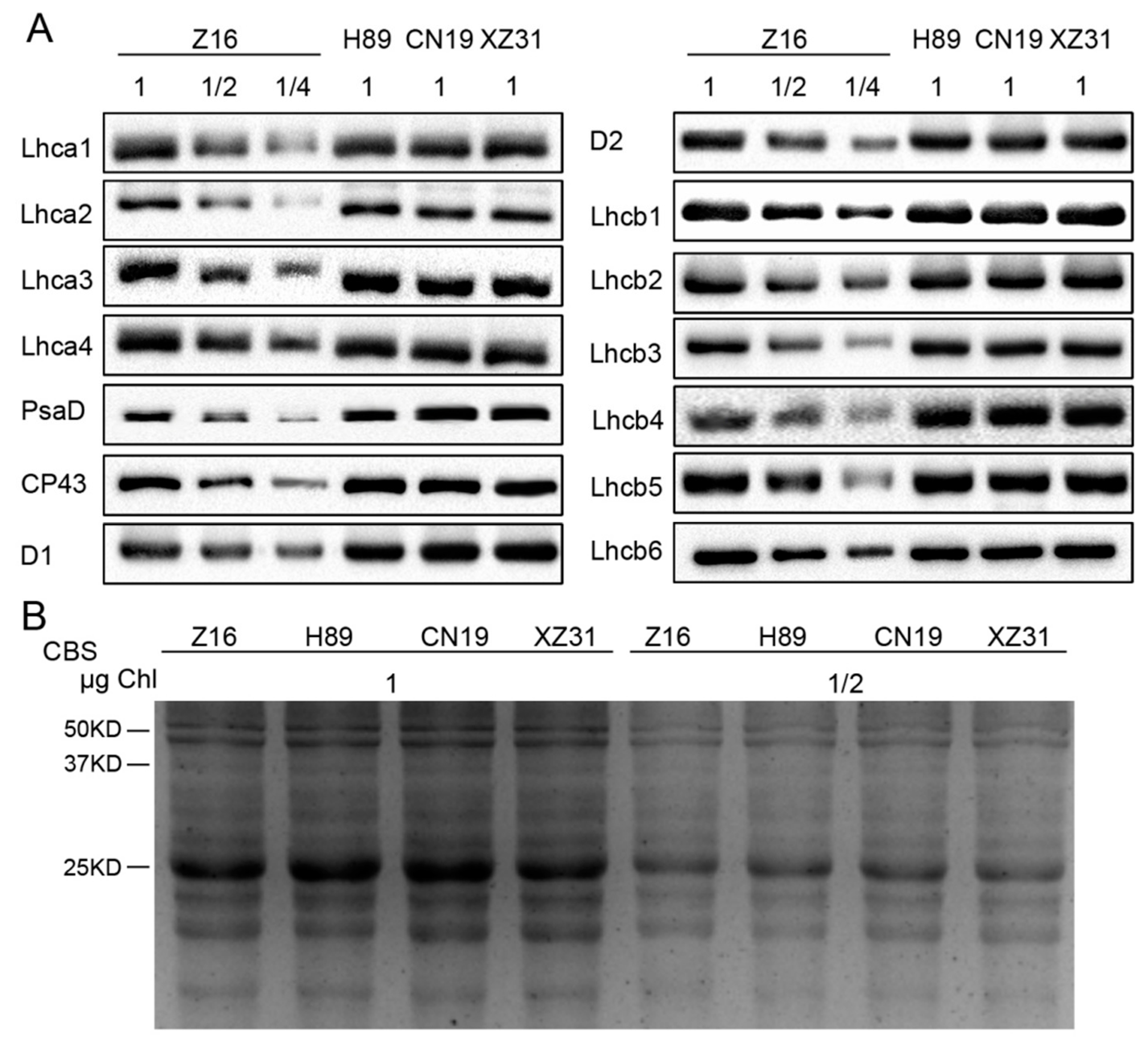 Ijms 19 03006 g008 Ijms 19 03006 g008