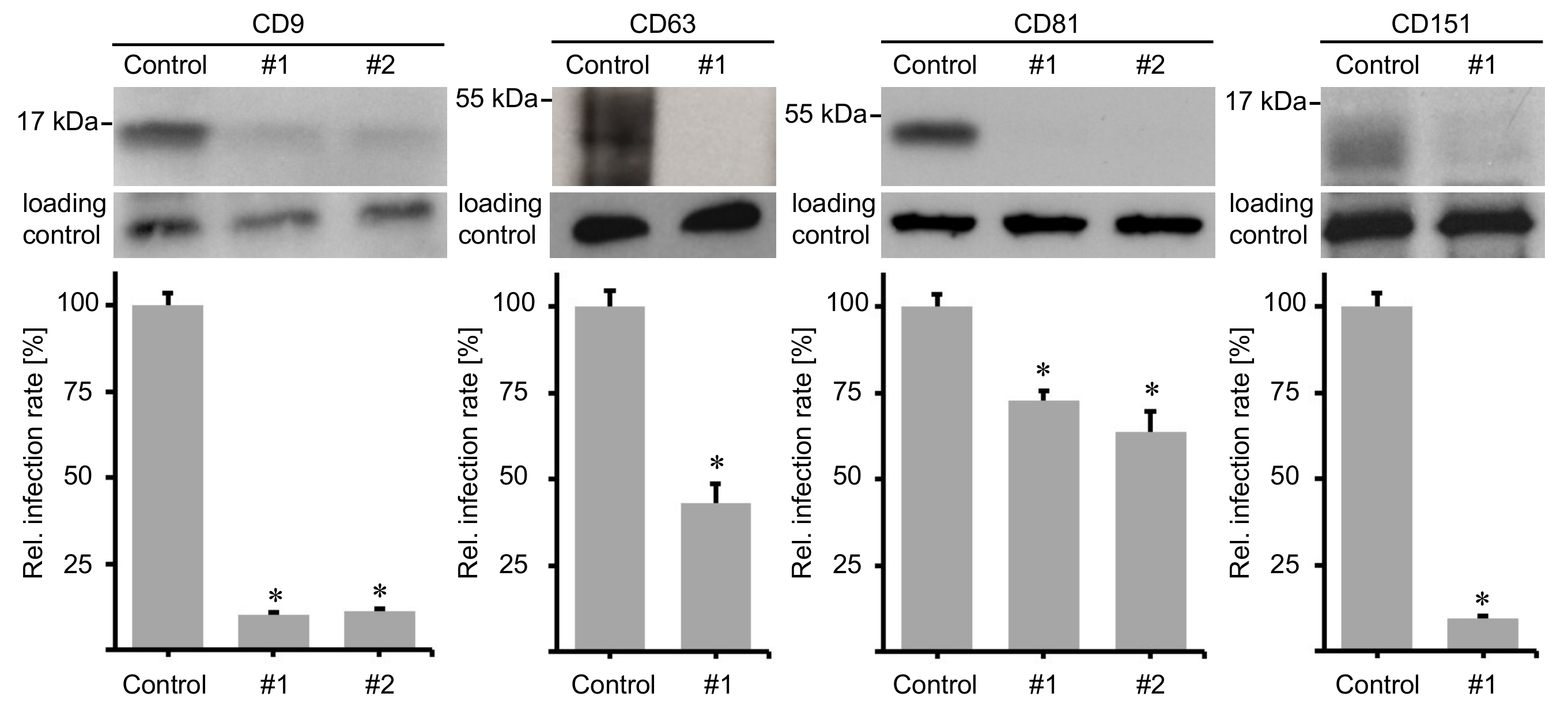Ijms 19 03007 g001 Ijms 19 03007 g001