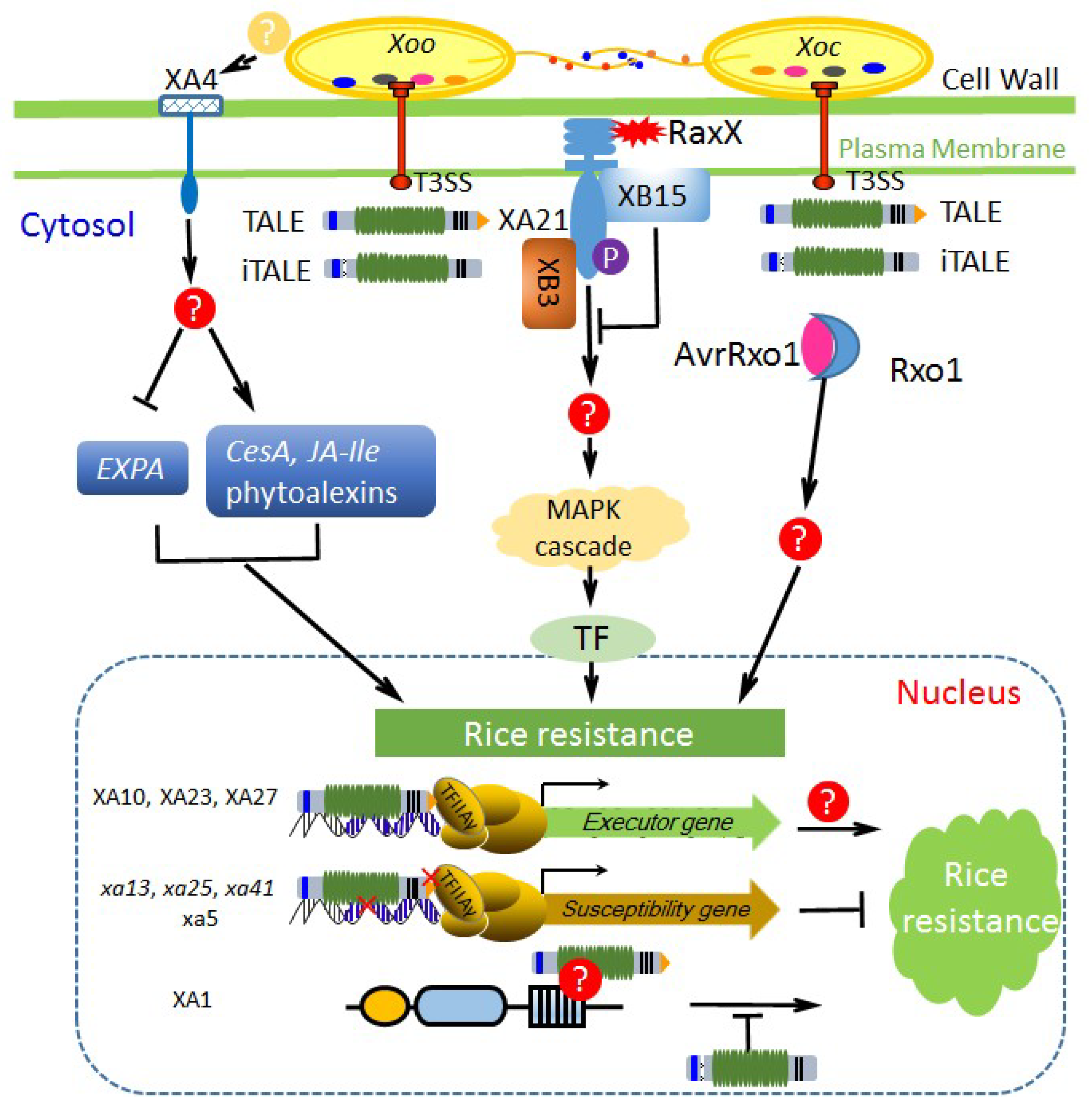 Ijms 19 03008 g002 Ijms 19 03008 g002