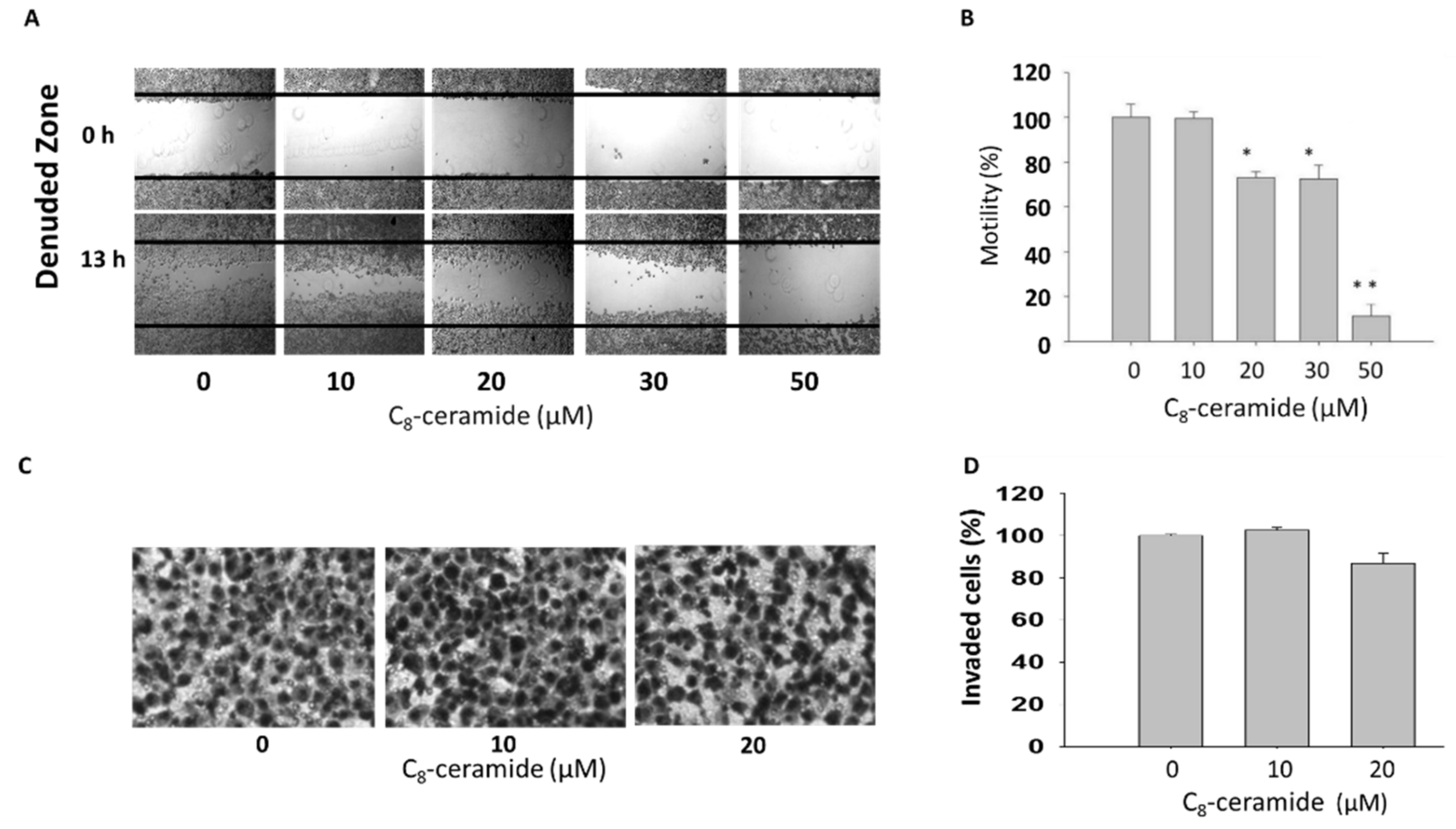 Ijms 19 03010 g005 Ijms 19 03010 g005