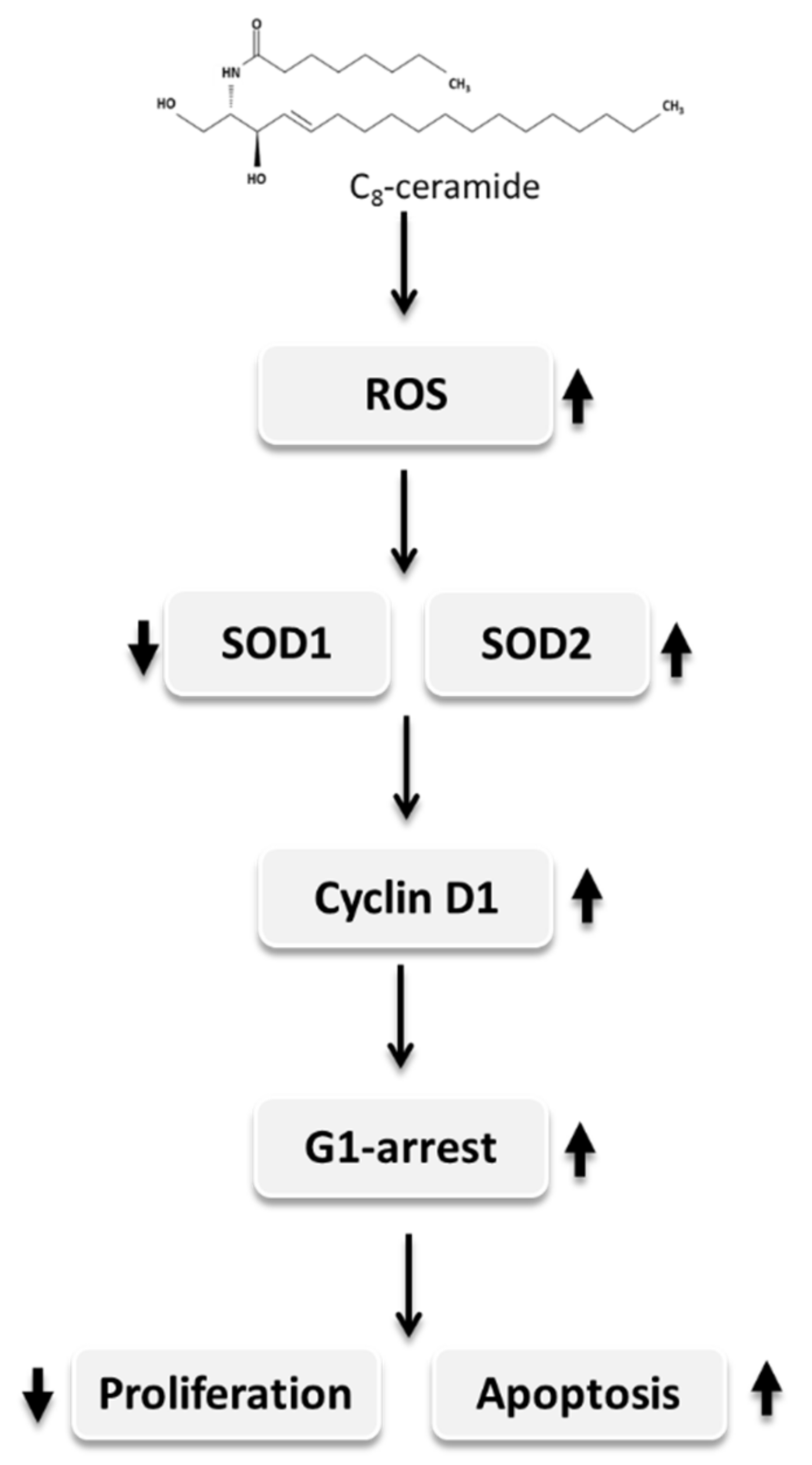 Ijms 19 03010 g007 Ijms 19 03010 g007