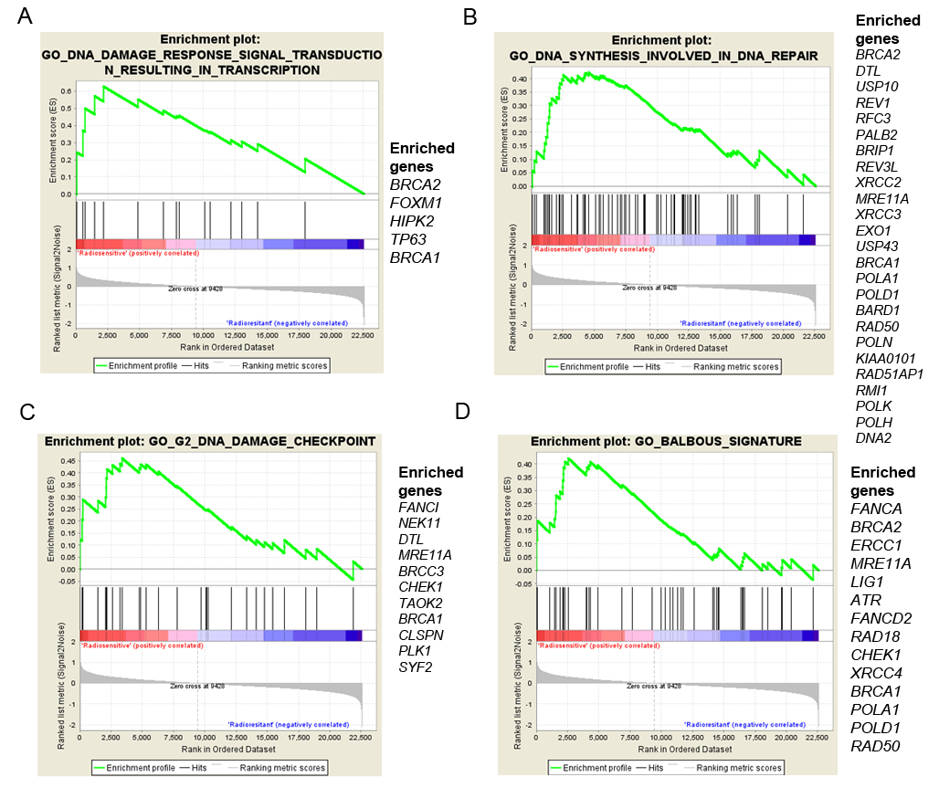 Ijms 19 03018 g005 Ijms 19 03018 g005