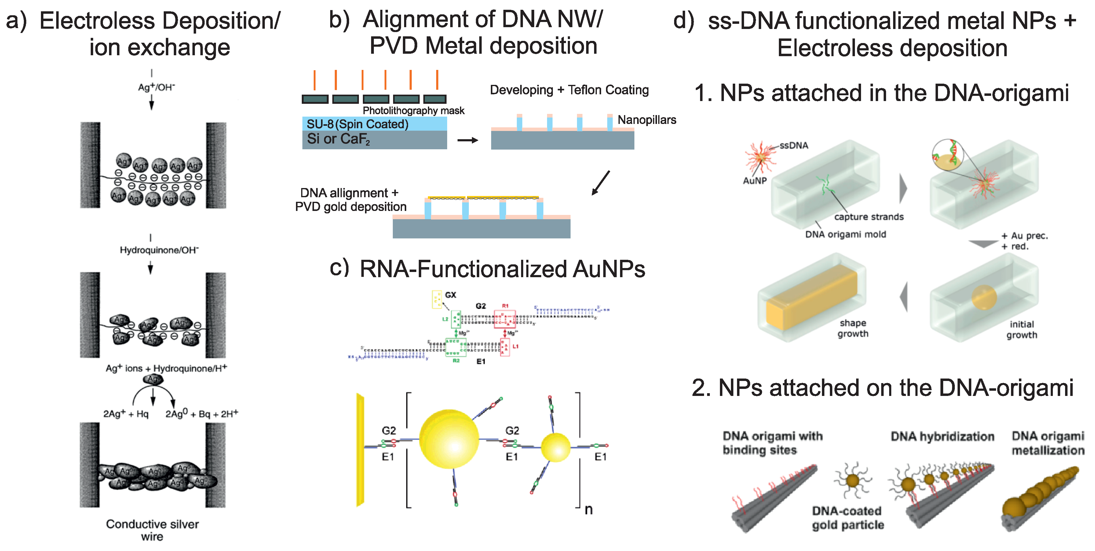 Ijms 19 03019 g001 Ijms 19 03019 g001