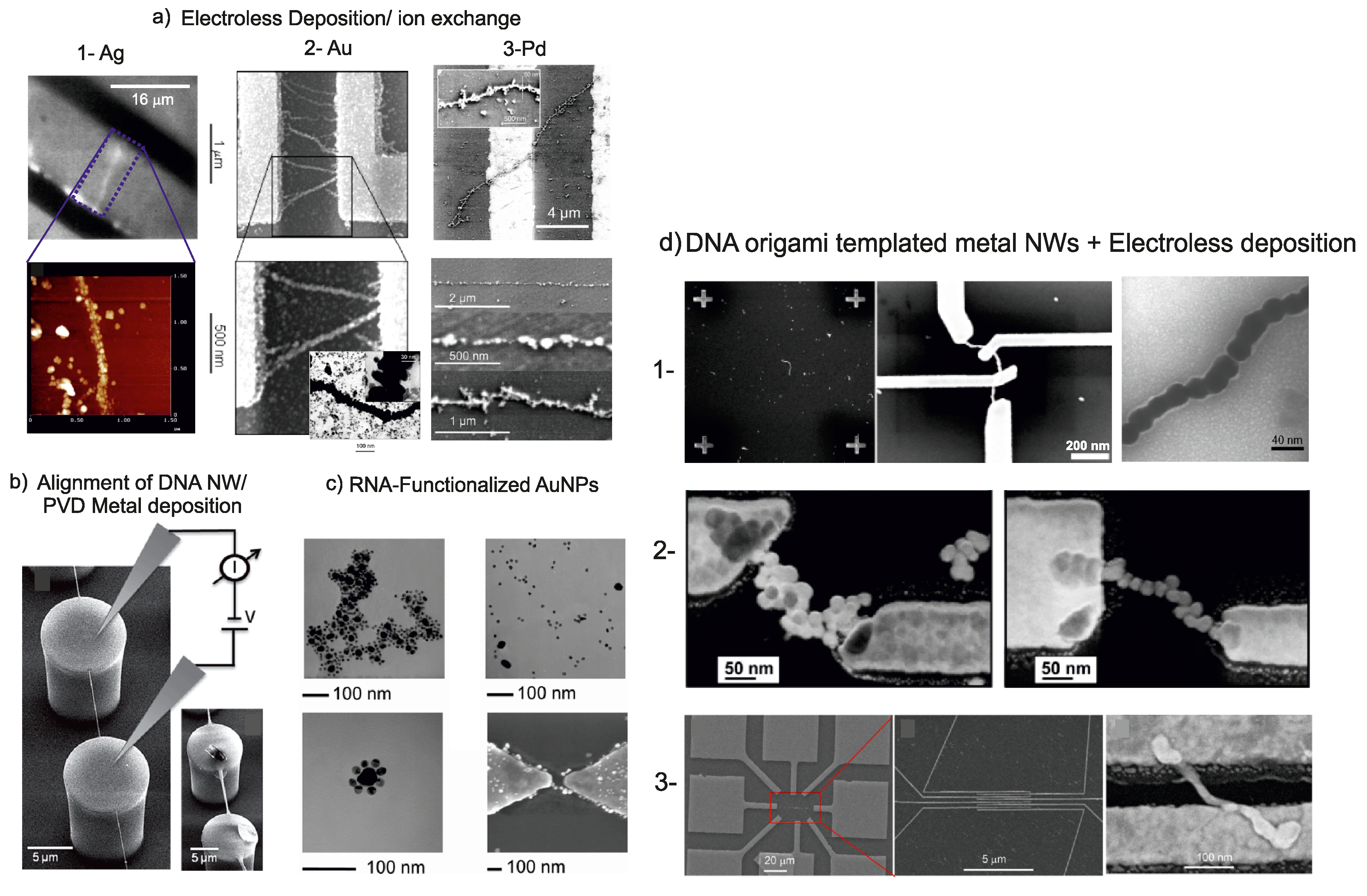 Ijms 19 03019 g002 Ijms 19 03019 g002