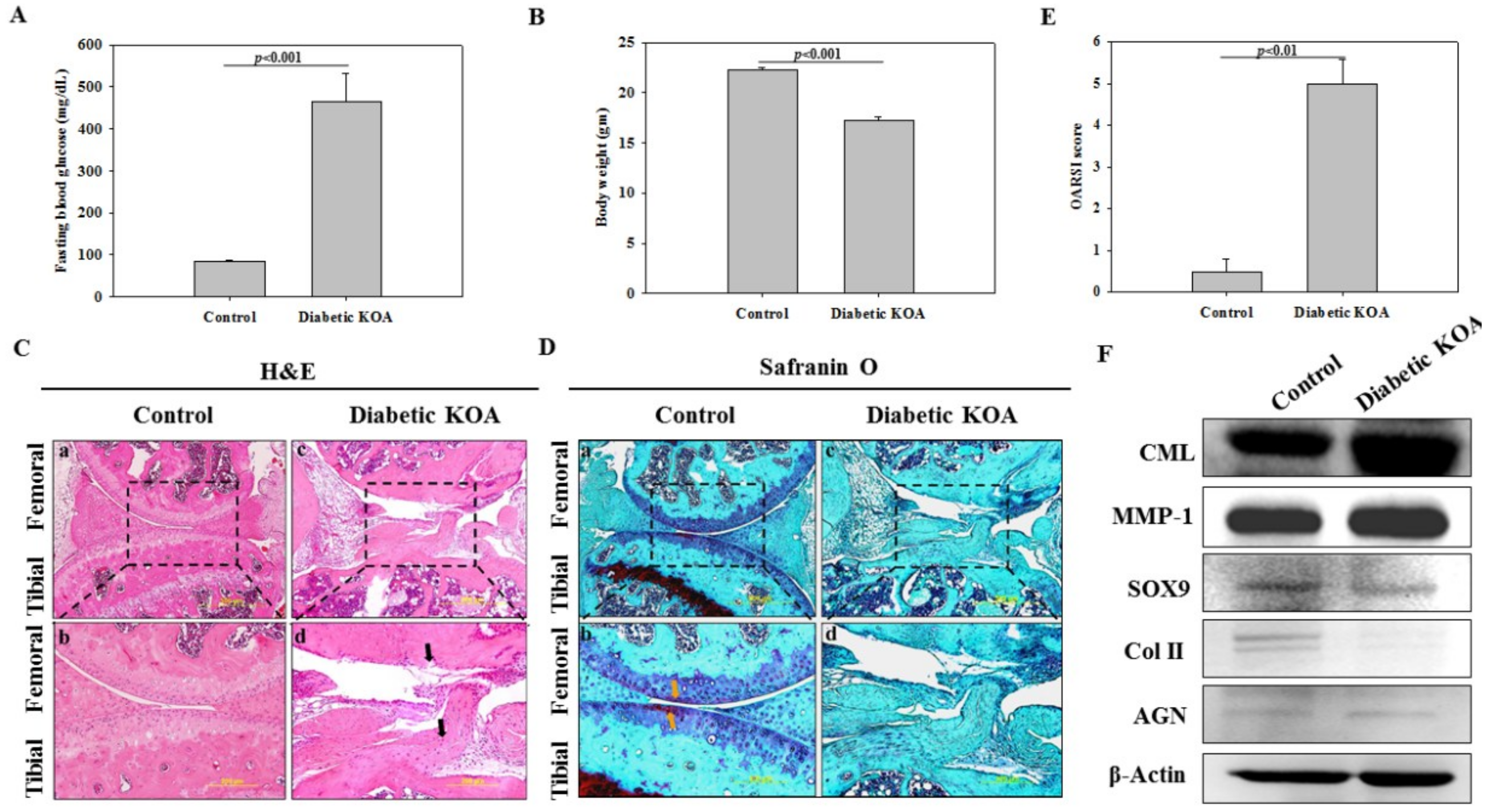 Ijms 19 03021 g002 Ijms 19 03021 g002