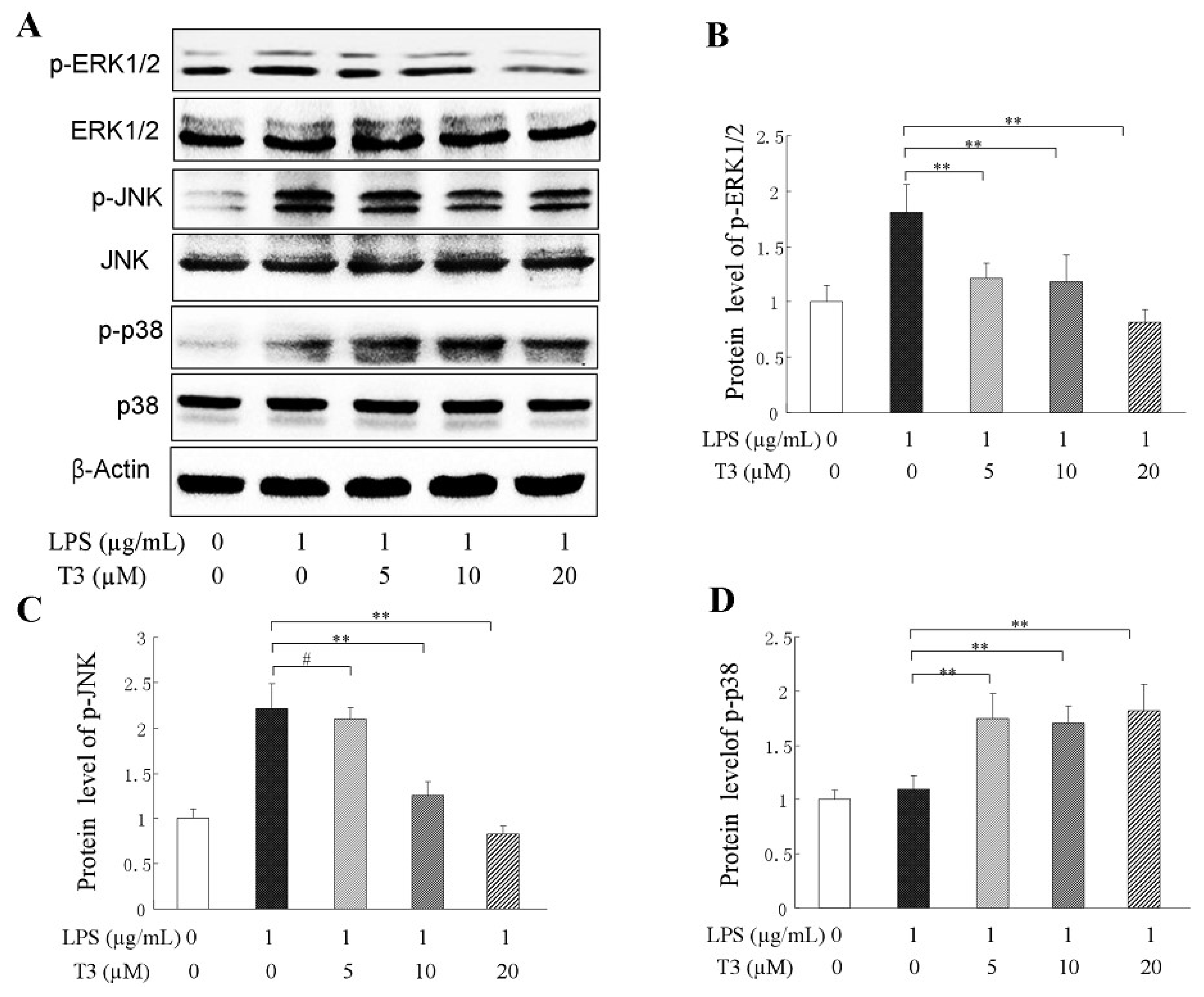 Ijms 19 03022 g005 Ijms 19 03022 g005