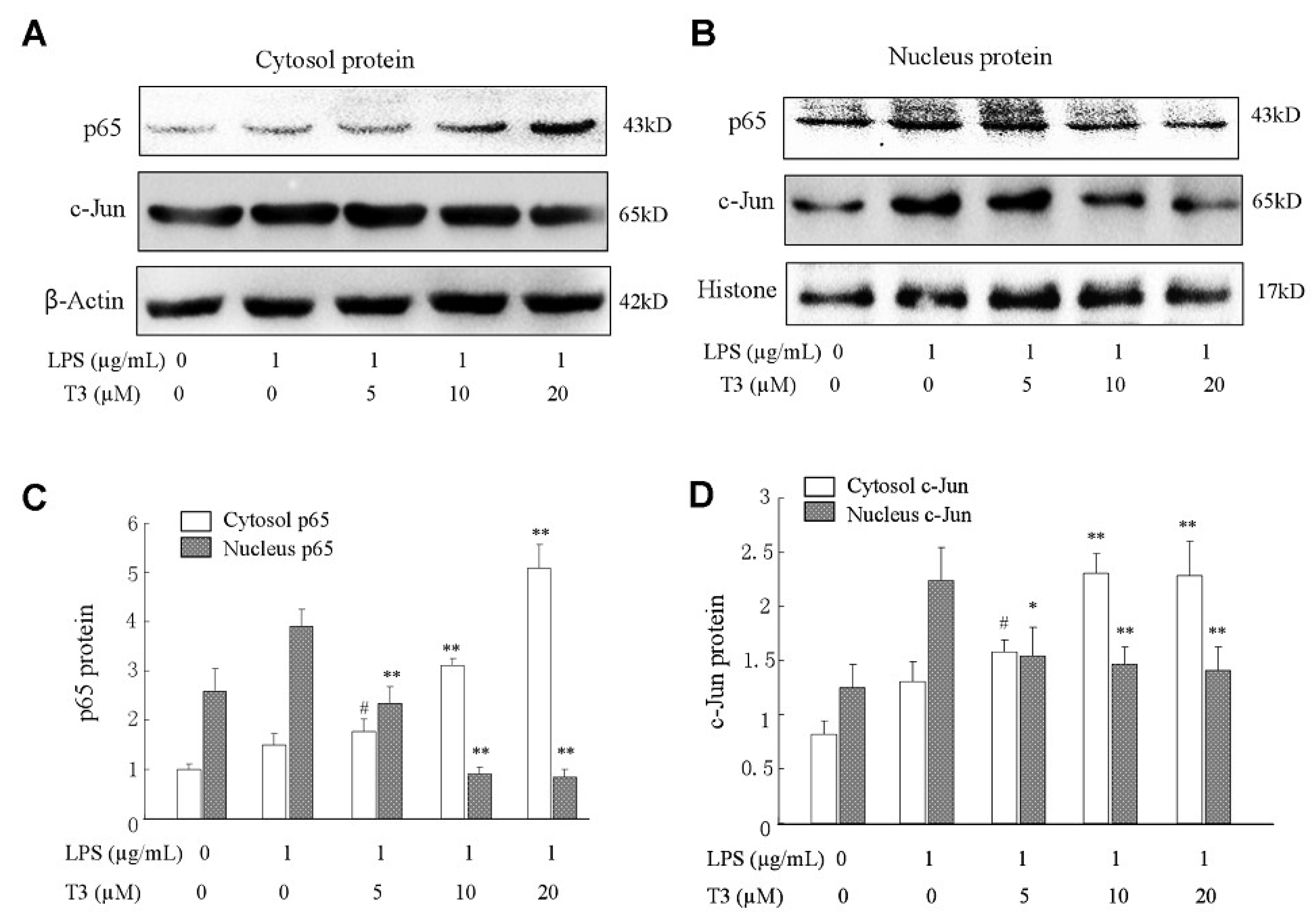 Ijms 19 03022 g006 Ijms 19 03022 g006