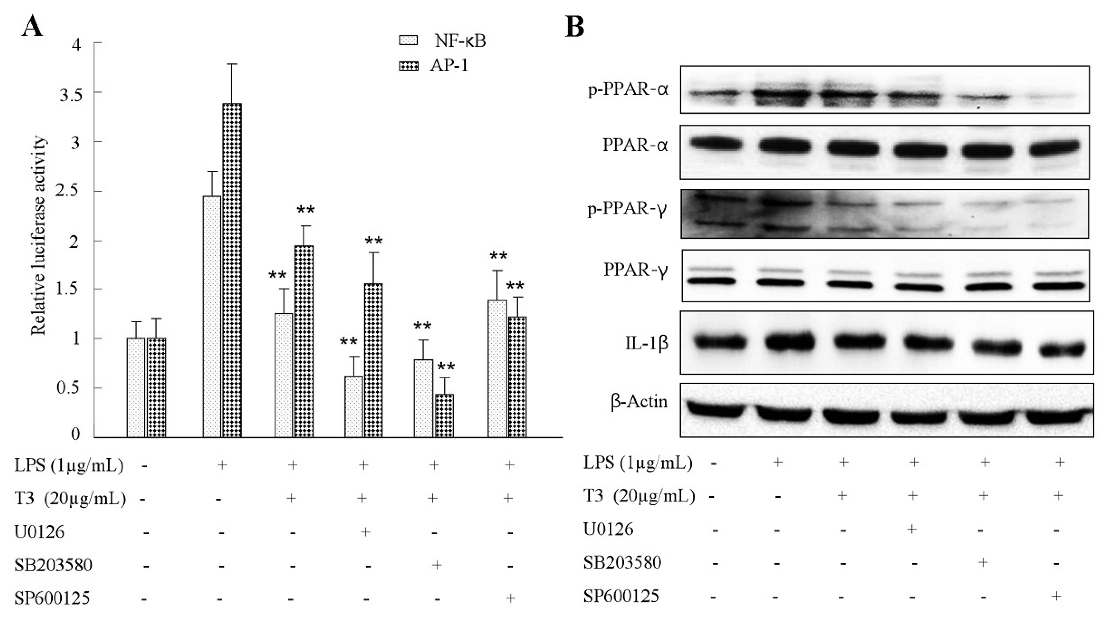 Ijms 19 03022 g009 Ijms 19 03022 g009