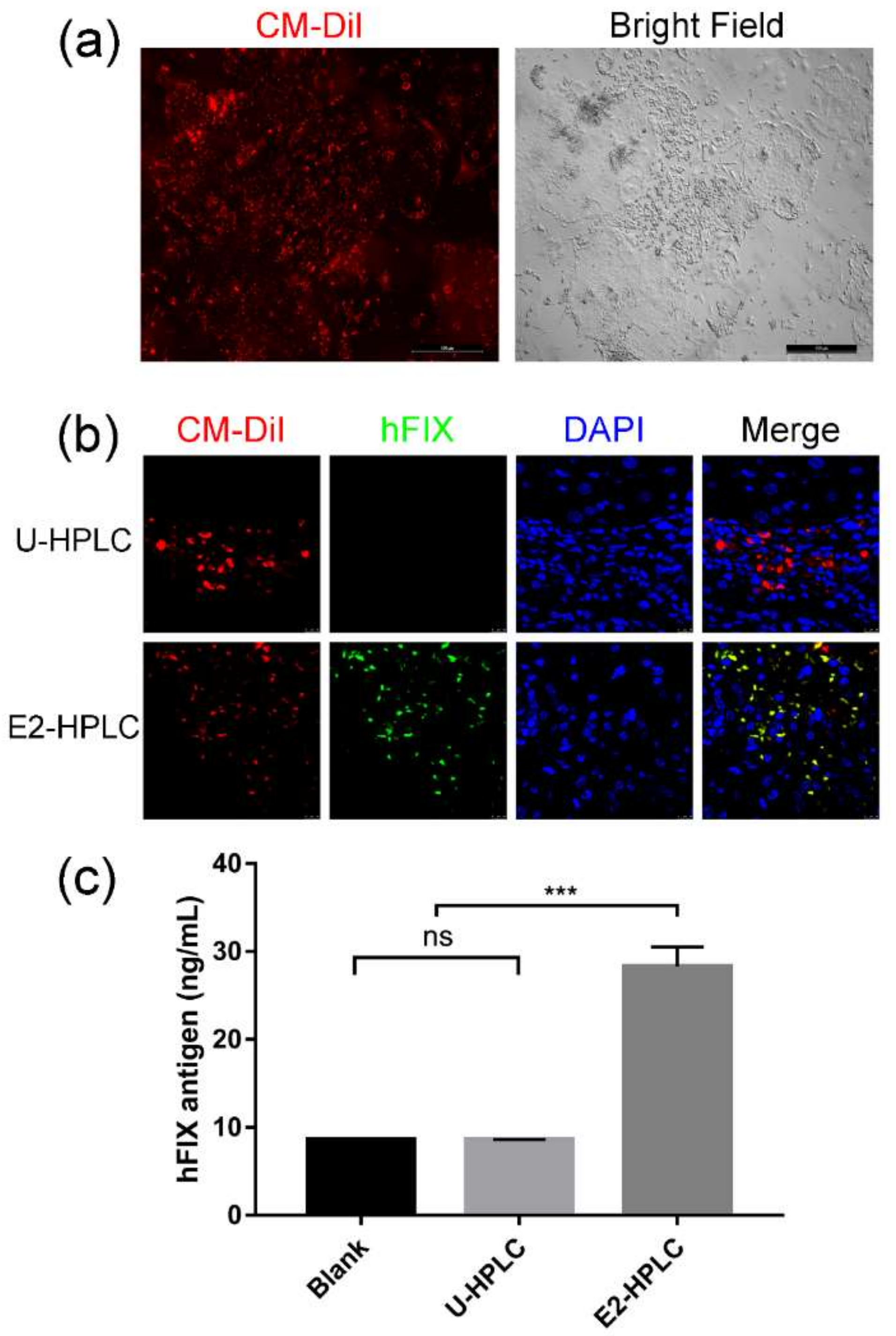 Ijms 19 03035 g005