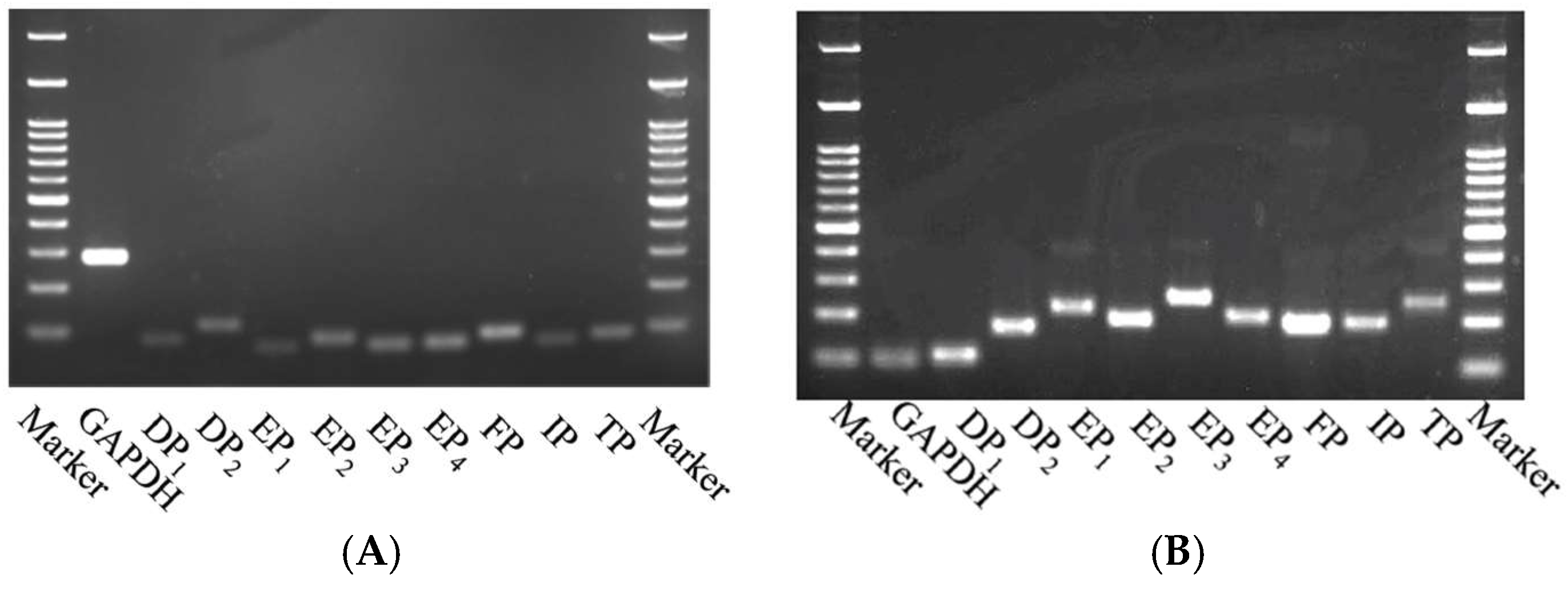 Ijms 19 03036 g001 Ijms 19 03036 g001