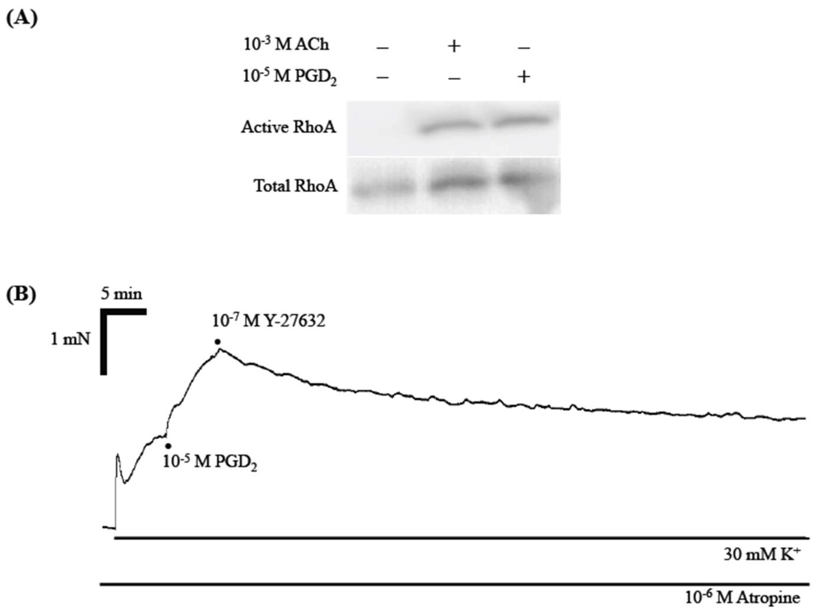 Ijms 19 03036 g005 Ijms 19 03036 g005