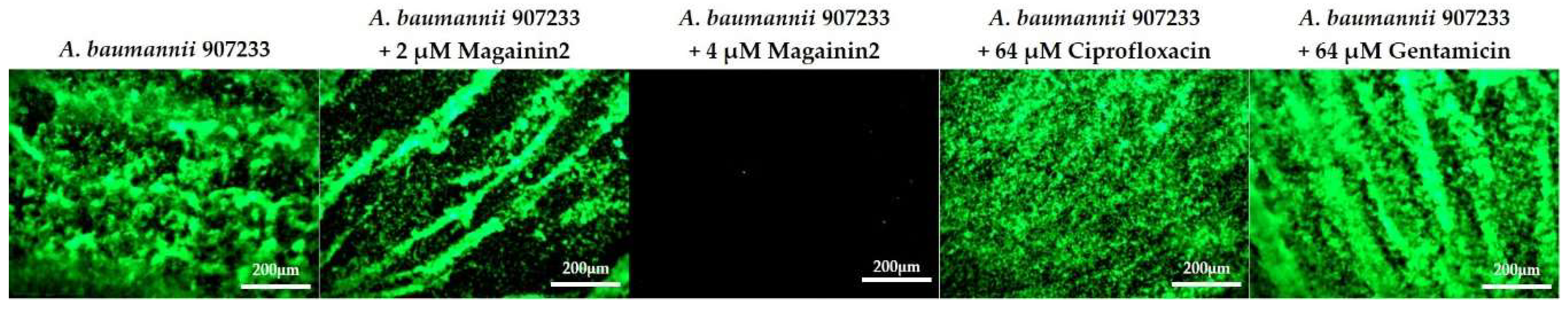 Ijms 19 03041 g005 Ijms 19 03041 g005