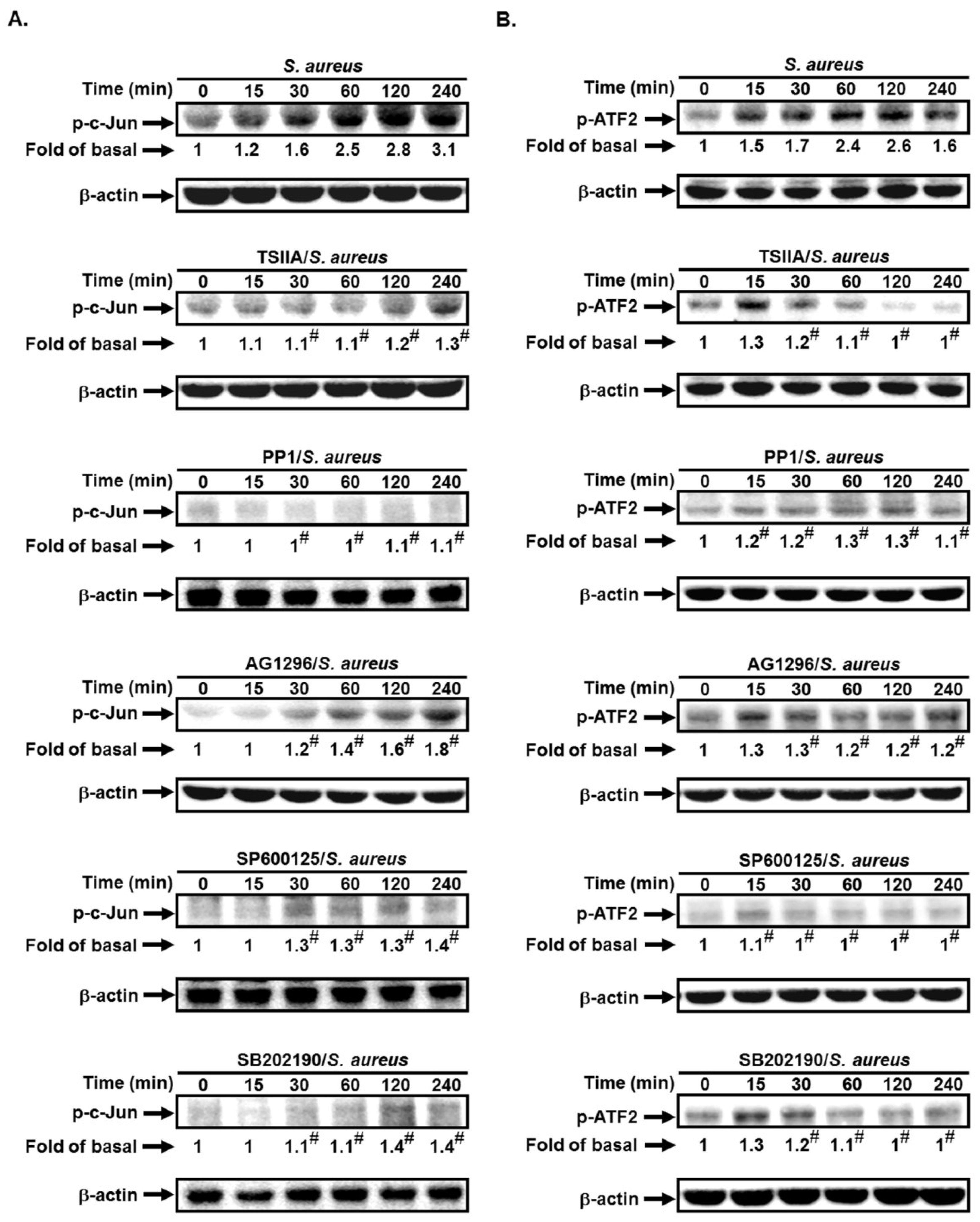 Ijms 19 03058 g005
