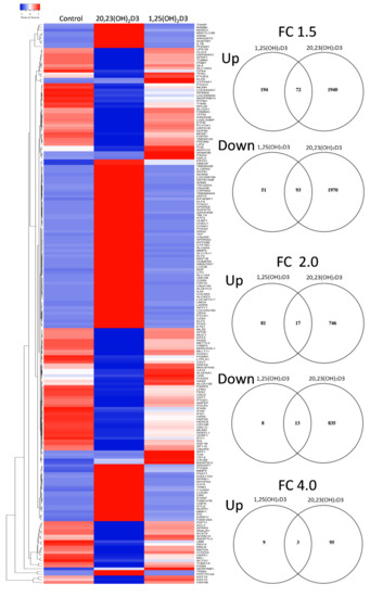 Ijms Free Full Text Differential And Overlapping Effects Of 23 Oh 2d3 And 1 25 Oh 2d3 On Gene Expression In Human Epidermal Keratinocytes Identification Of Ahr As An Alternative Receptor For 23 Oh 2d3 Html Ijms Free Full Text Differential And Overlapping Effects Of 23 Oh 2d3 And 1 25 Oh 2d3 On Gene Expression In Human Epidermal Keratinocytes Identification Of Ahr As An Alternative Receptor For 23 Oh 2d3 Html